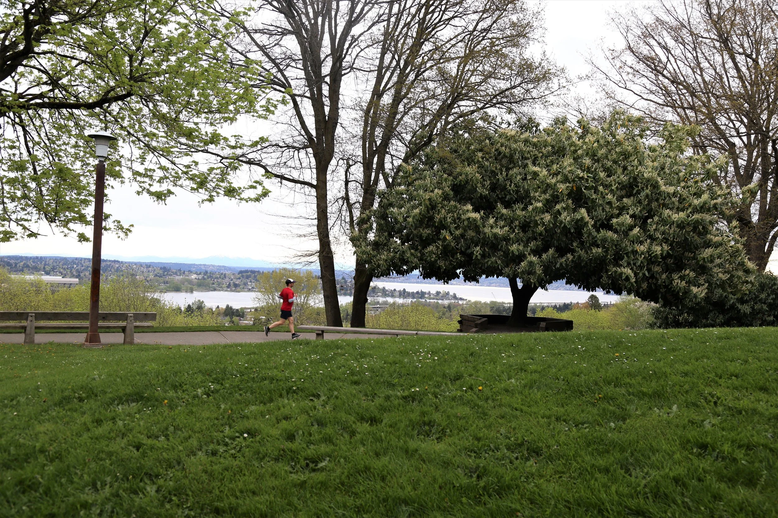 Louisa Boren Lookout