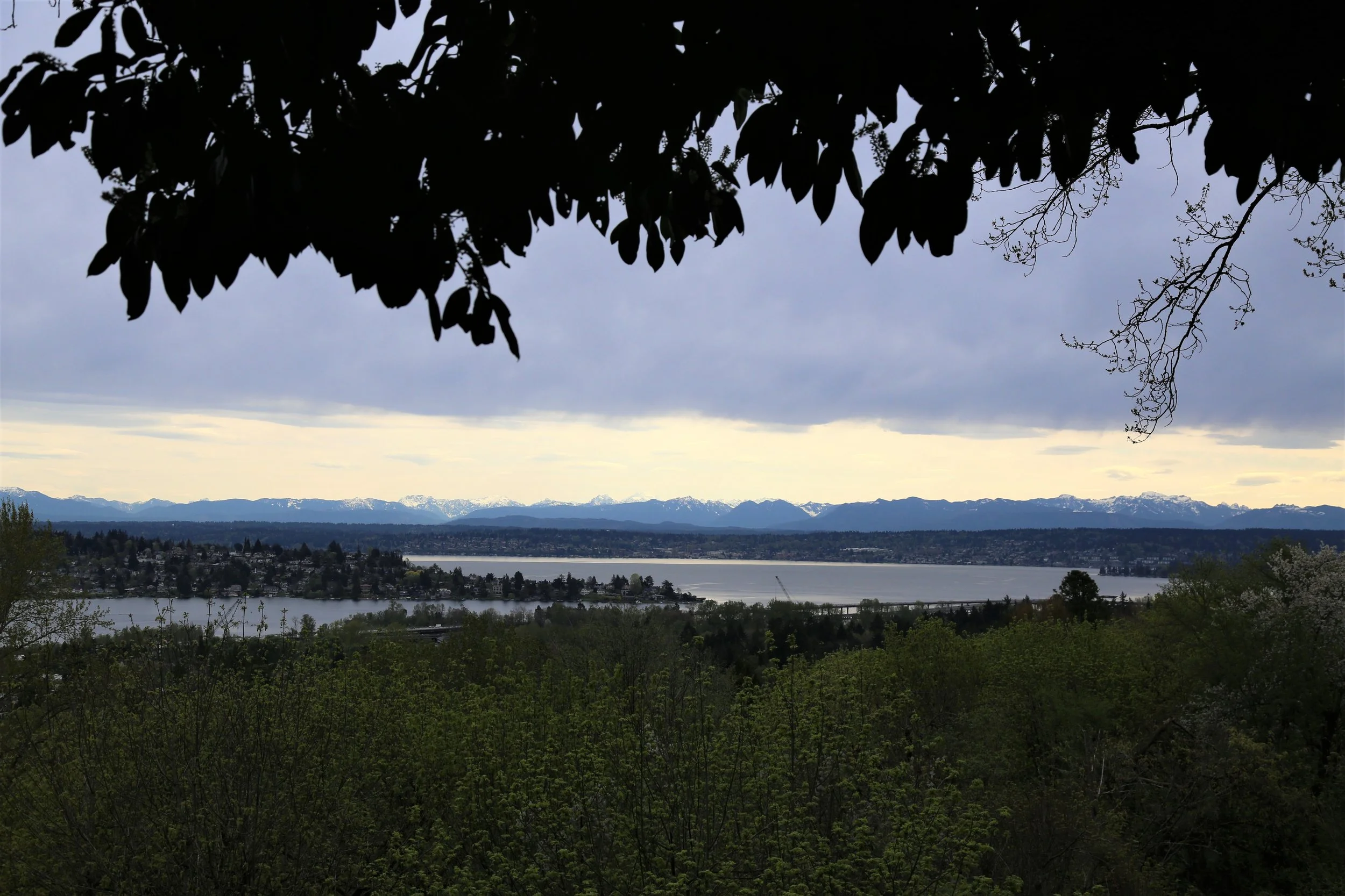 Louisa Boren Lookout