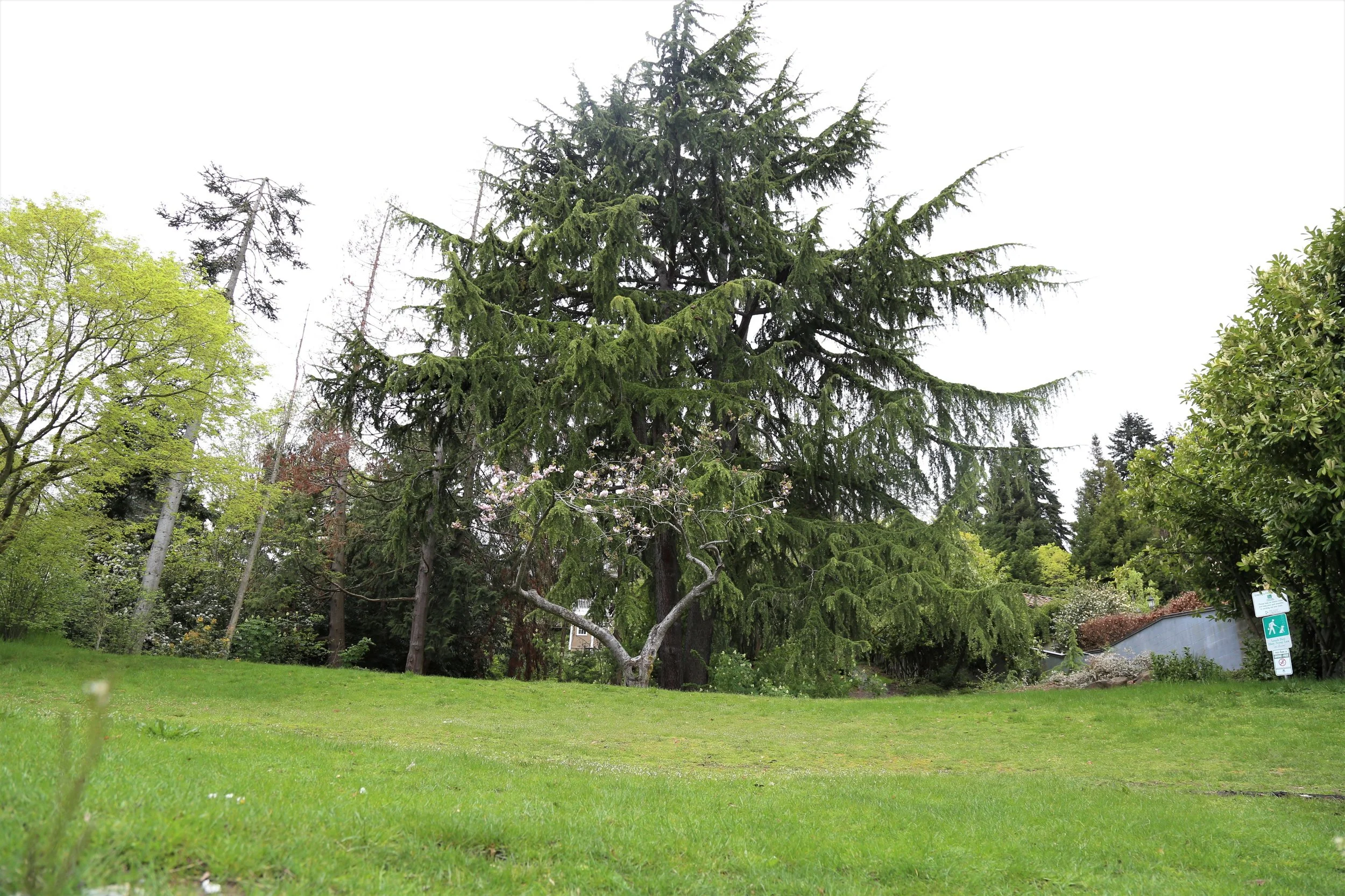 Howell Park