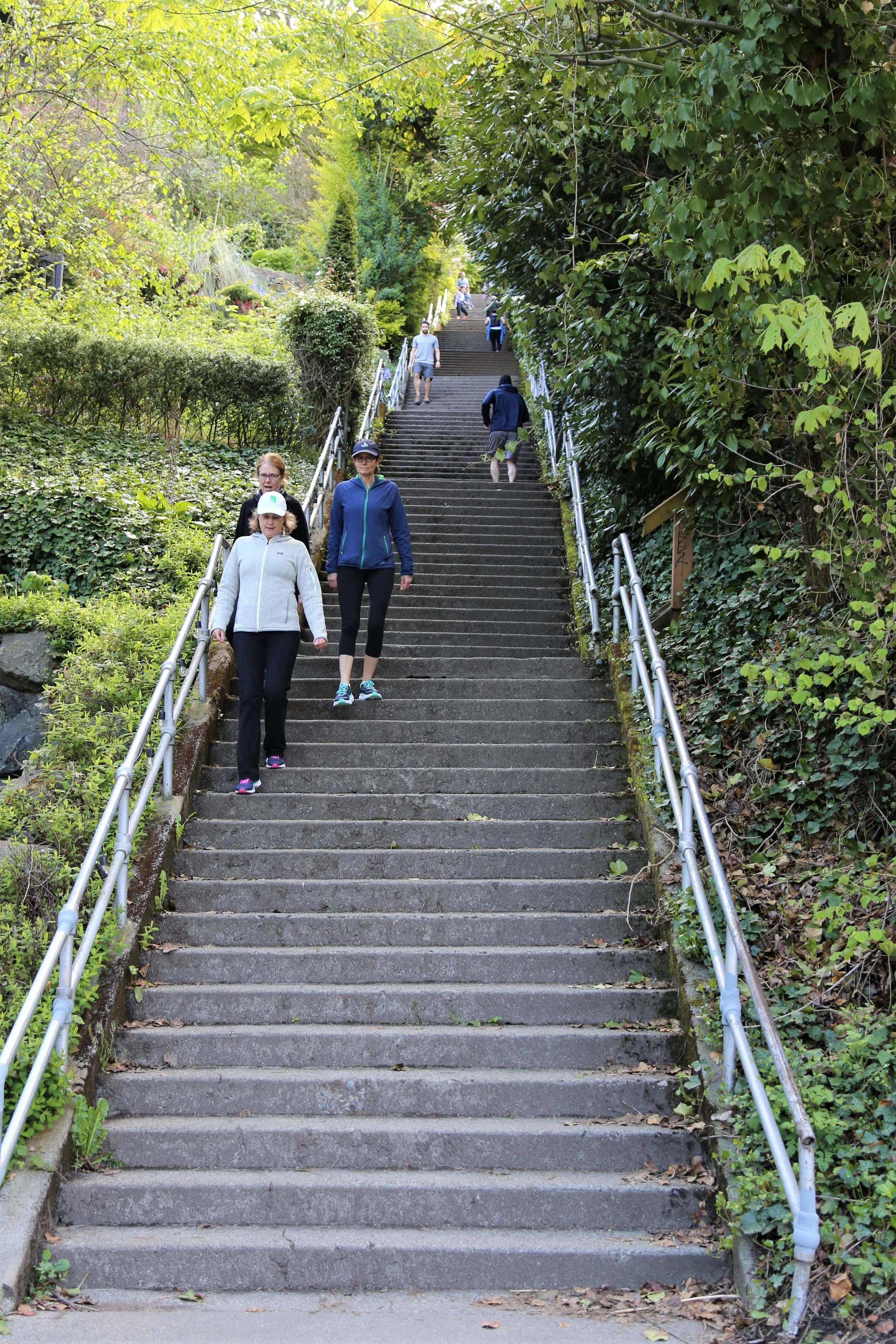 The very long Howe Street Stairs