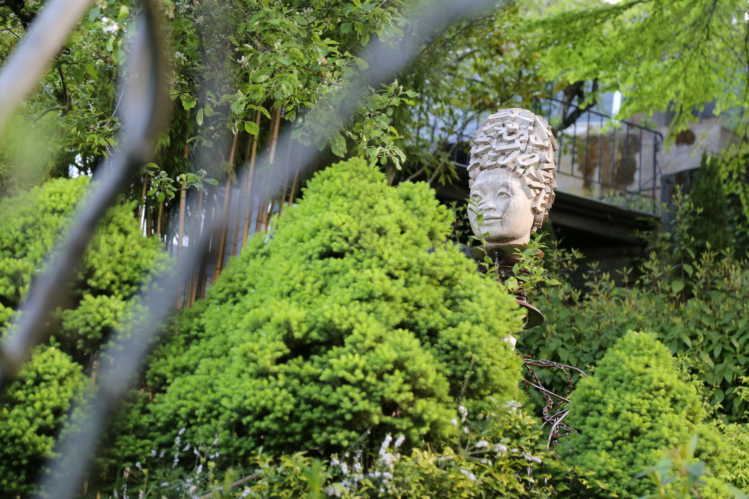 Beautiful backyards along Howe Street Stairs