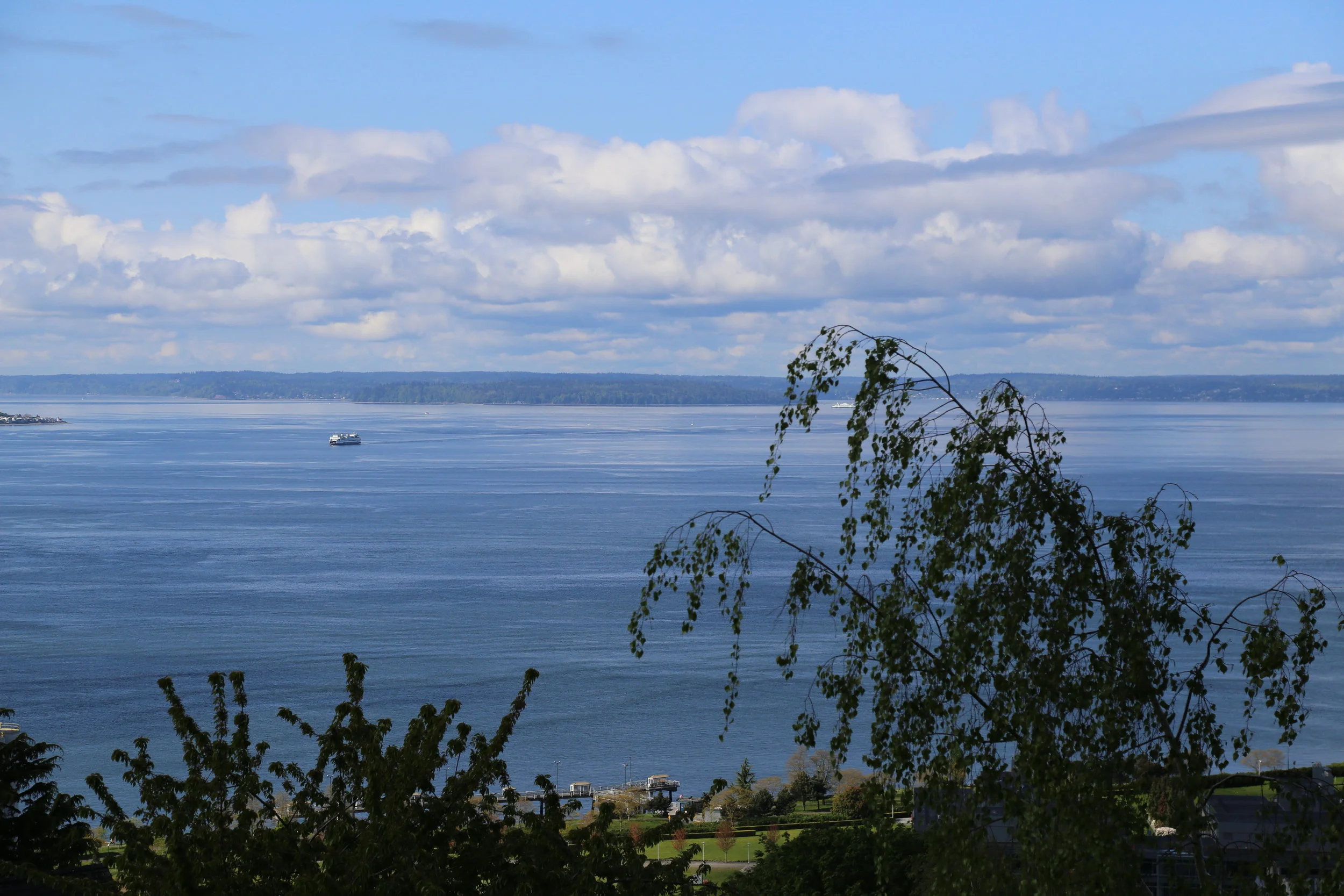 The view from the top of the Wilcox Wall