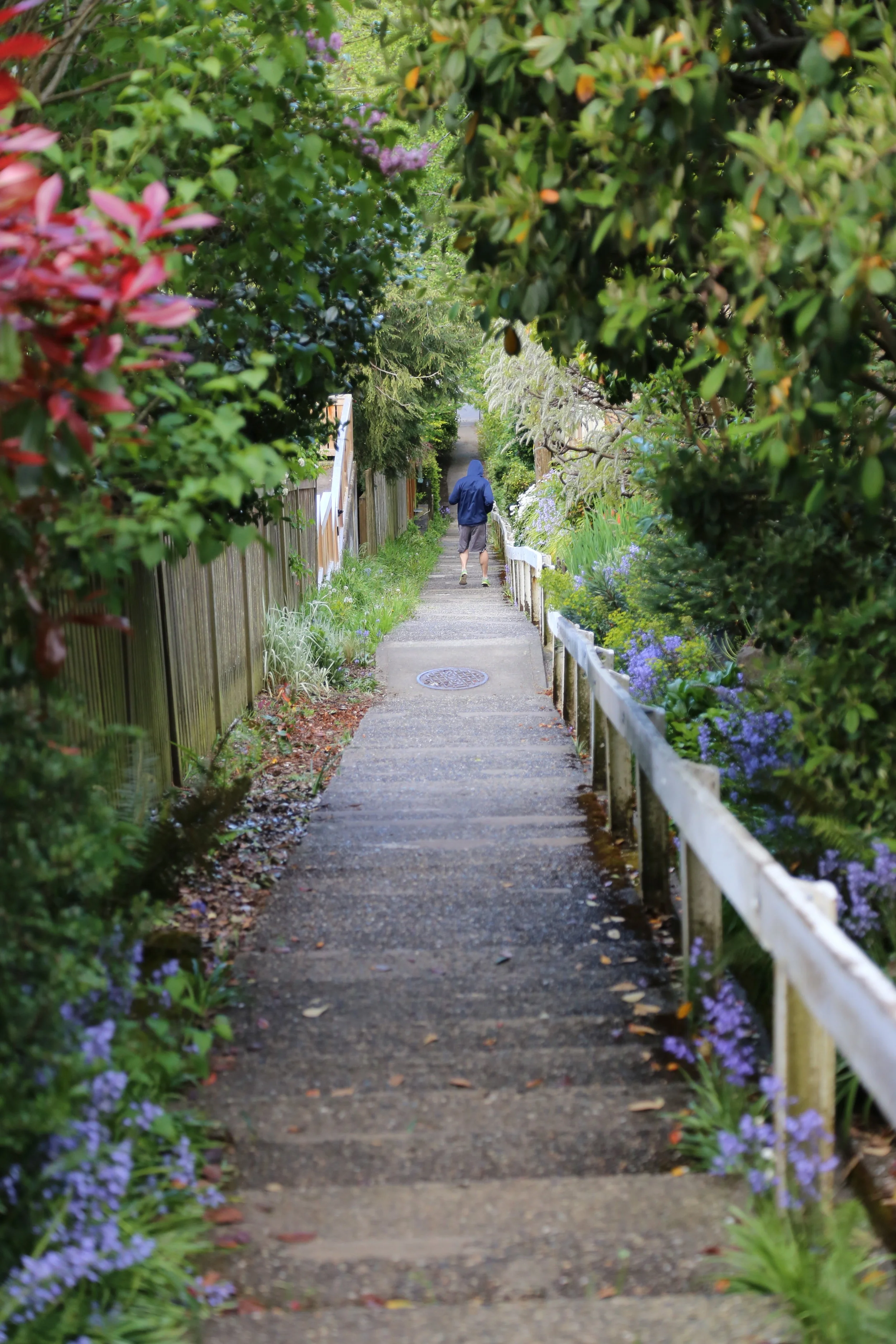 Thistle Street Stairs