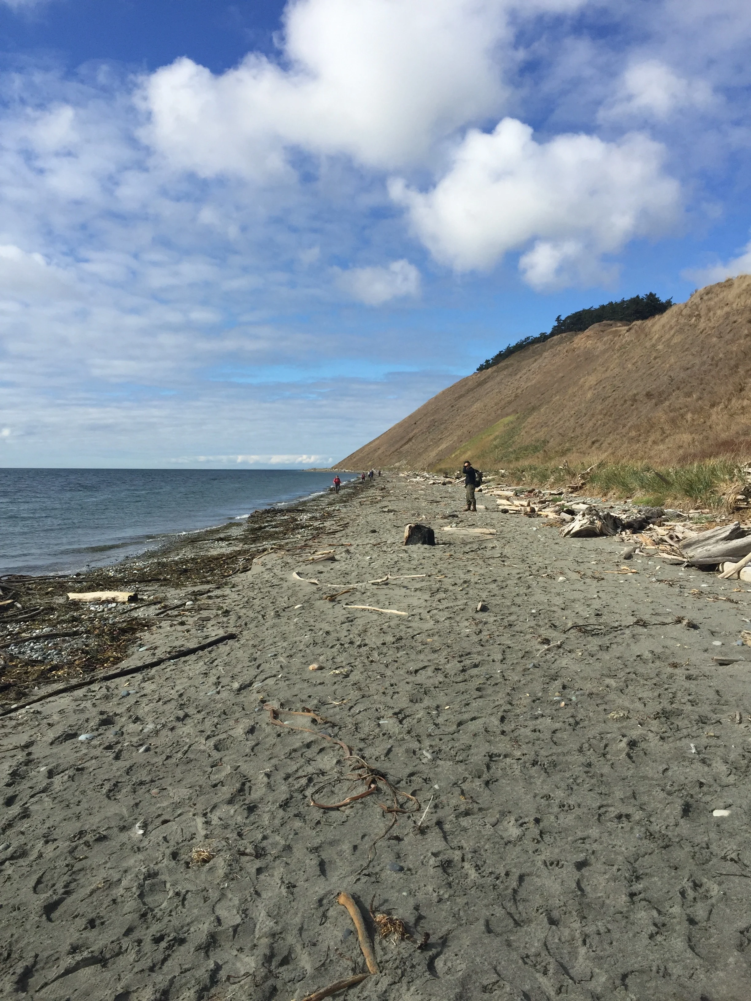 ebey landing