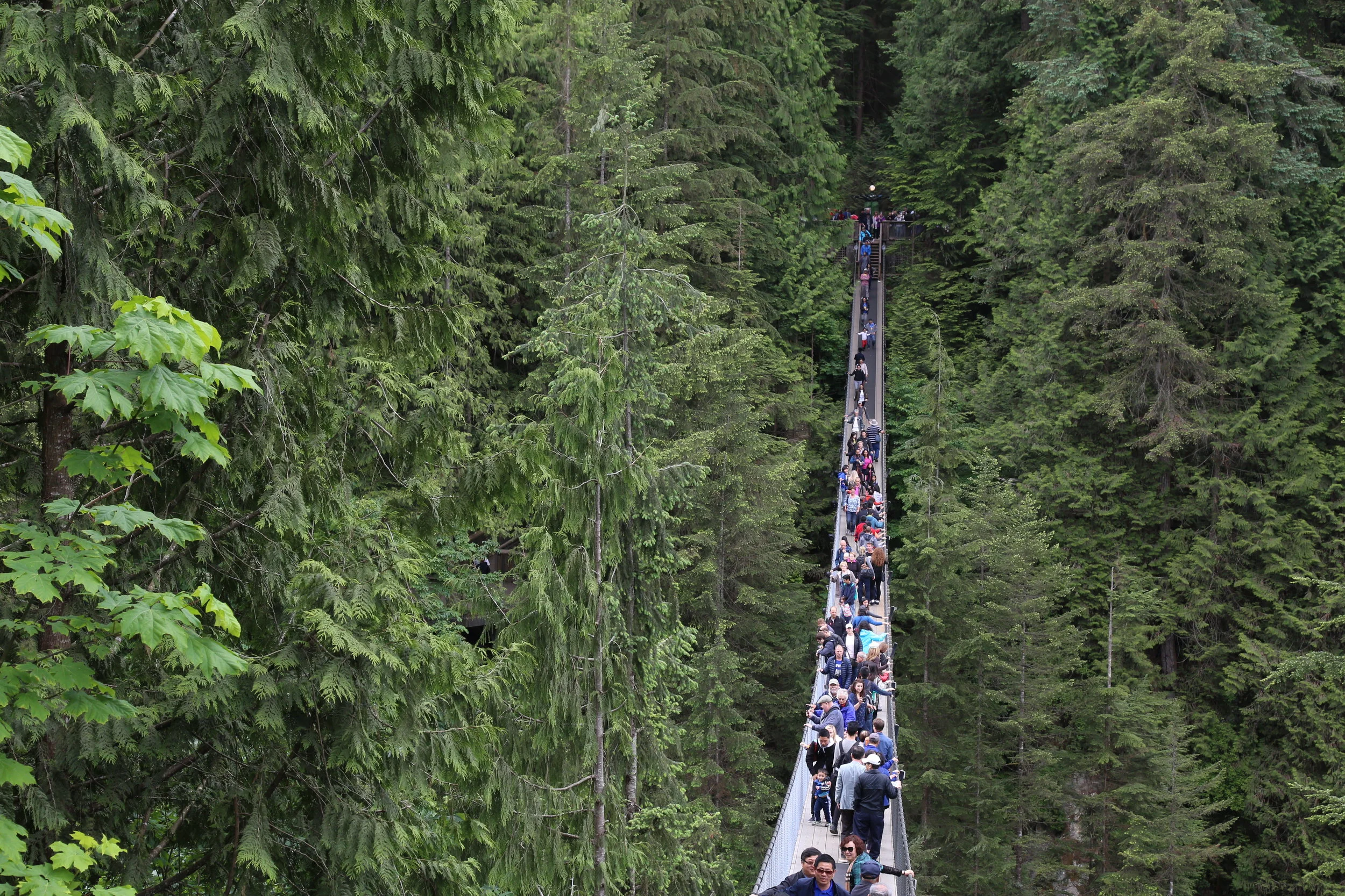Capilano Suspension Bridge