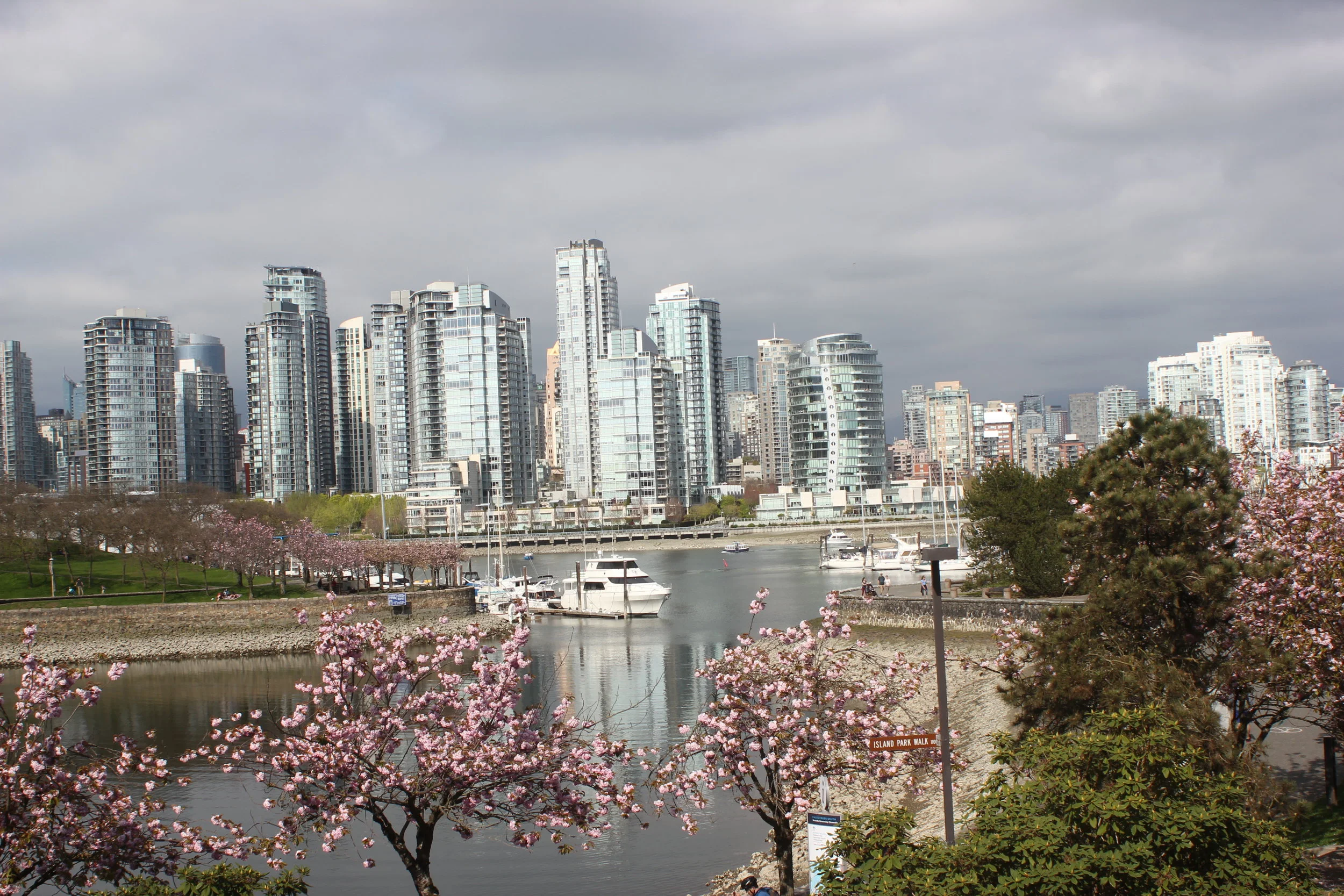 The lovely Vancouver skyline