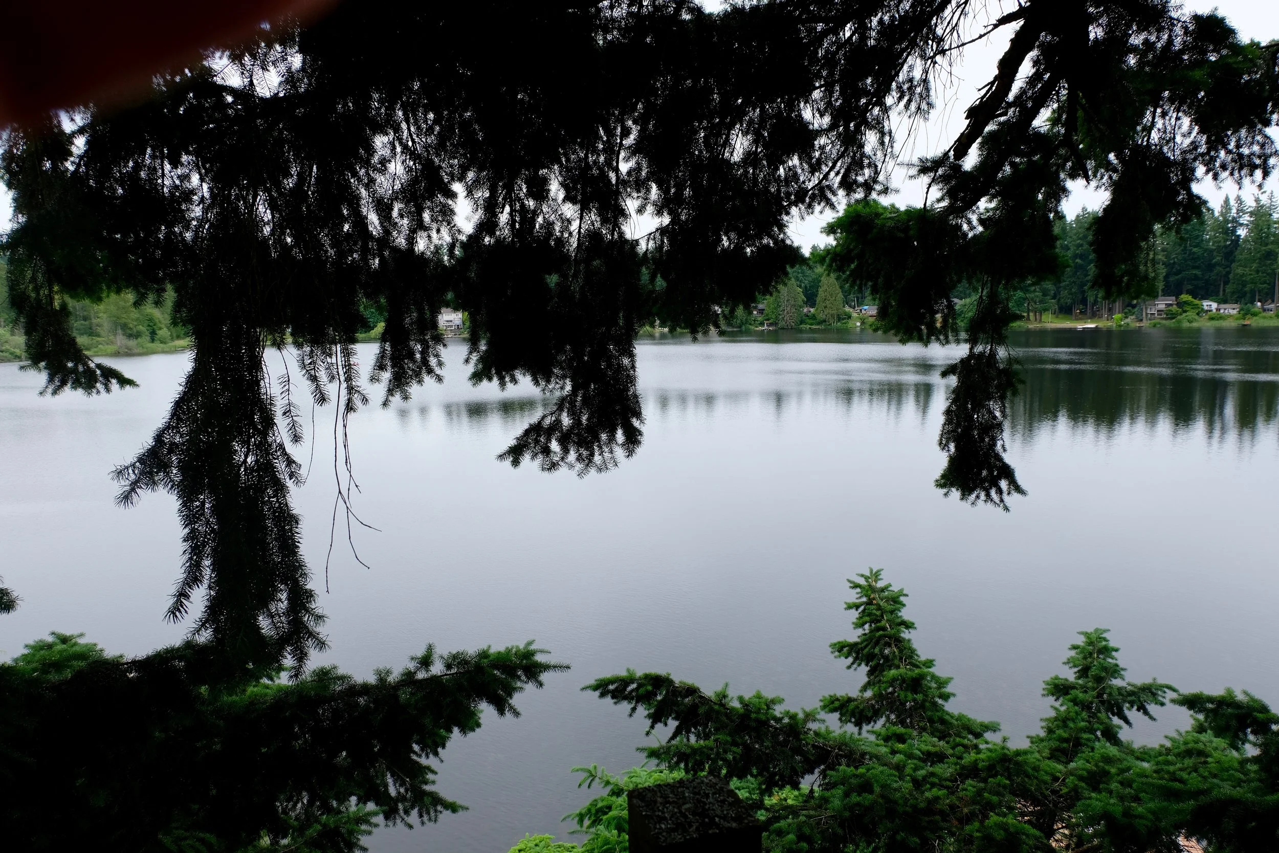 View of Cottage Lake from the patio attached to the treehouse.&nbsp;