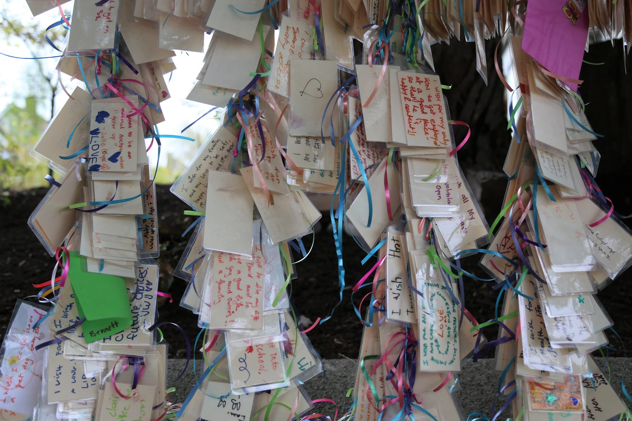 Wishing Tree