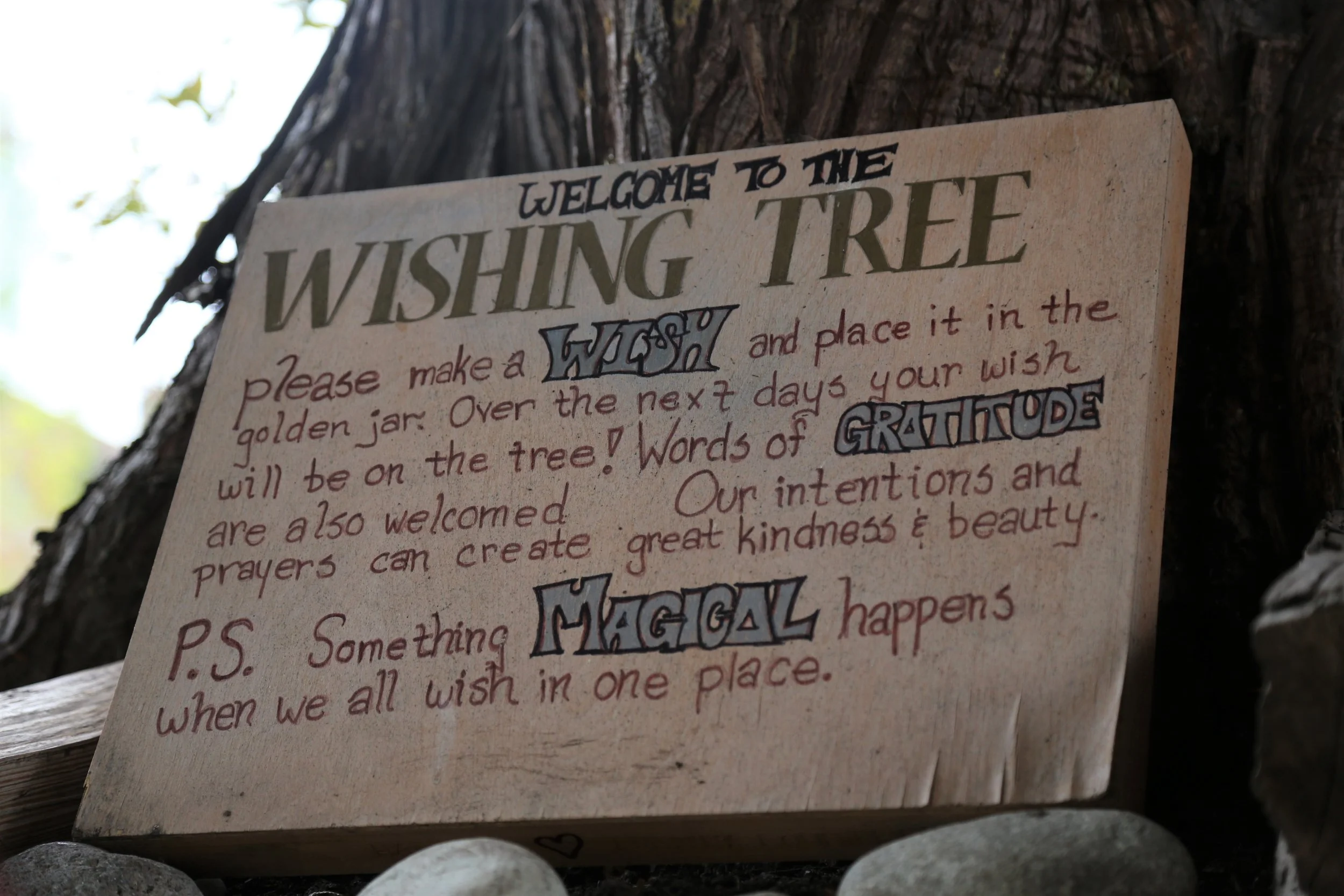 Seattle's Wishing Tree