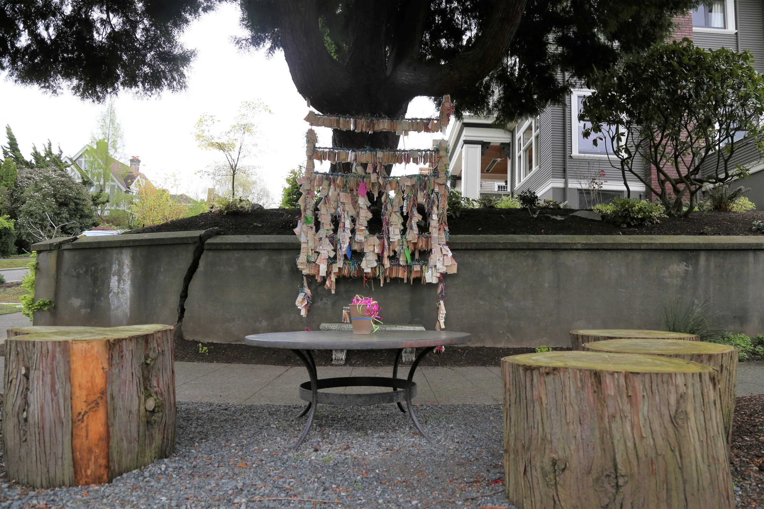Wishing Tree