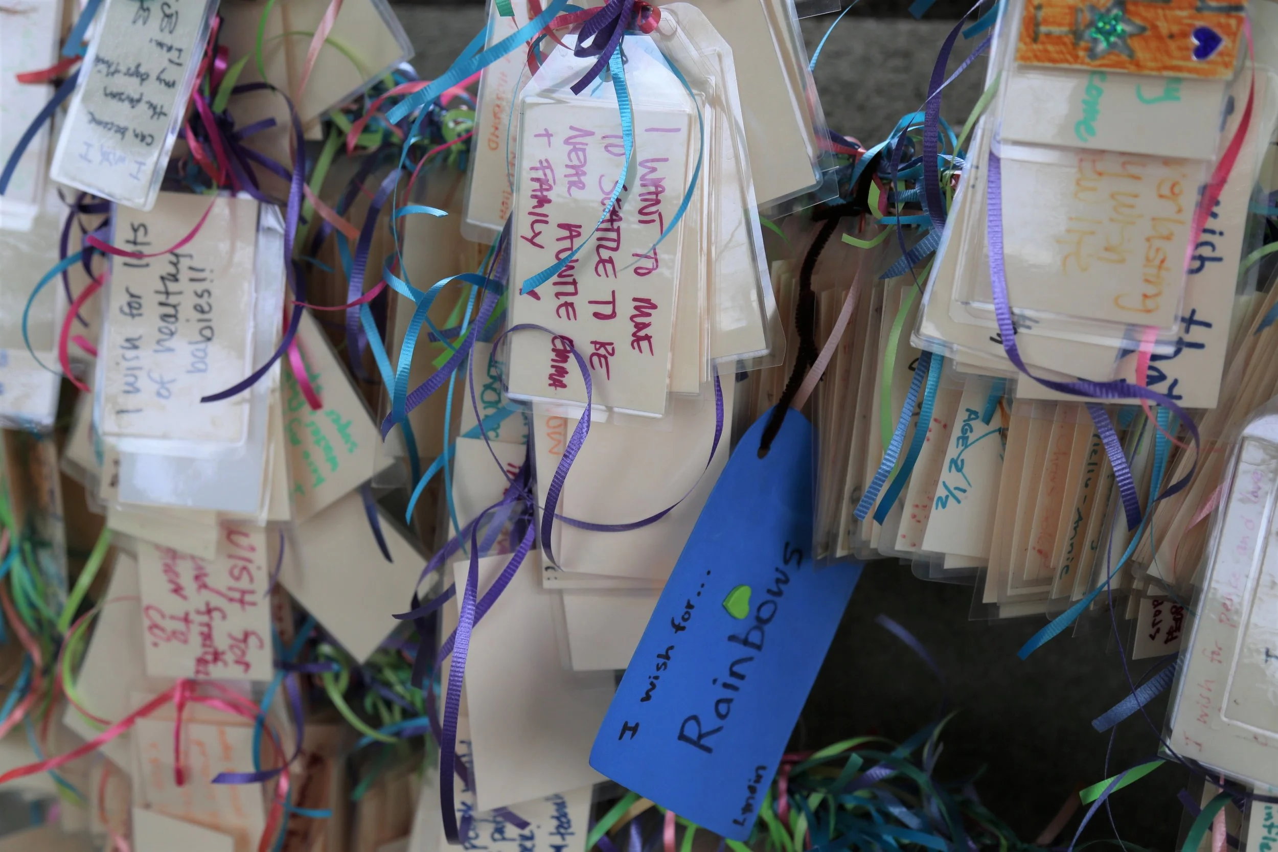 Wishing Tree