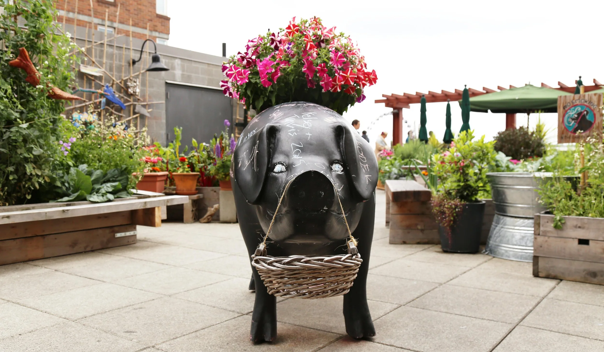 A chalkboard pig for decorating at Pike Place Market's Urban Garden