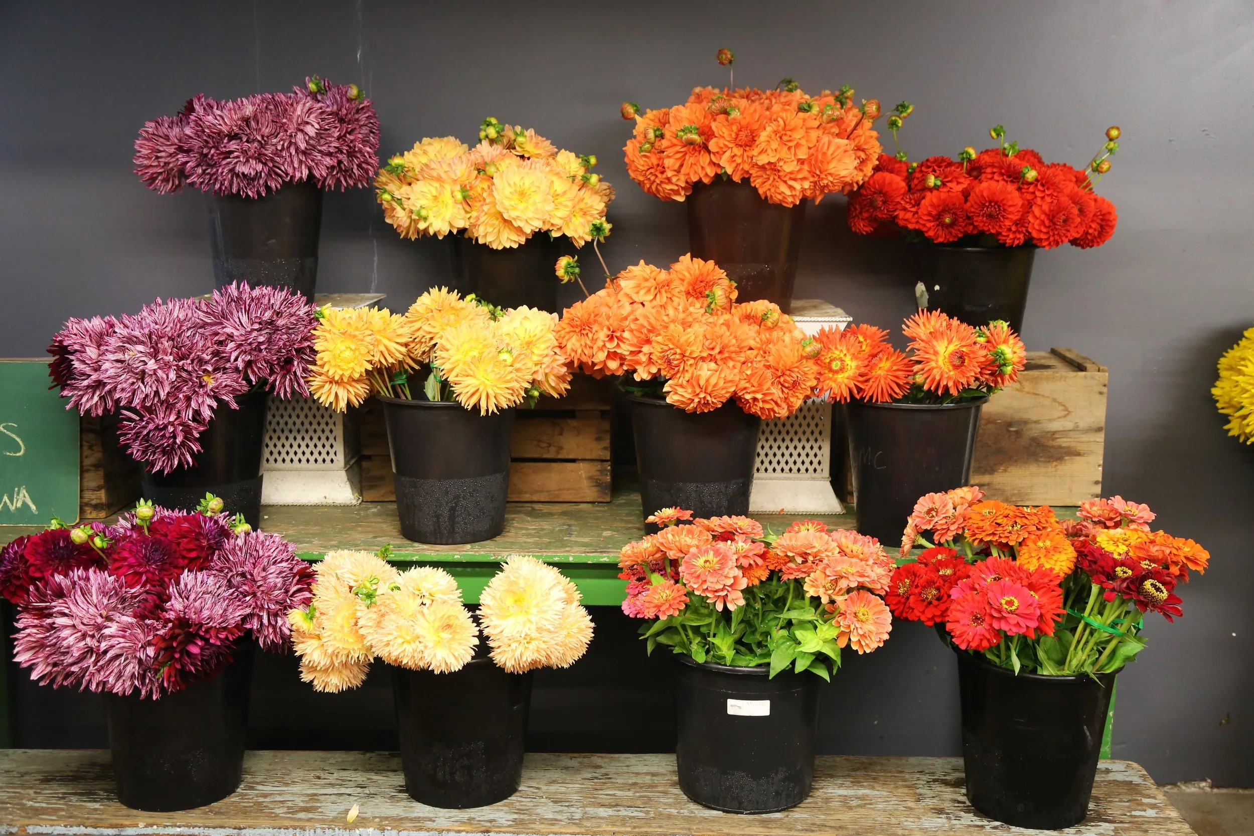 Seattle Wholesale Grower S Market Rain Or Shine Guides