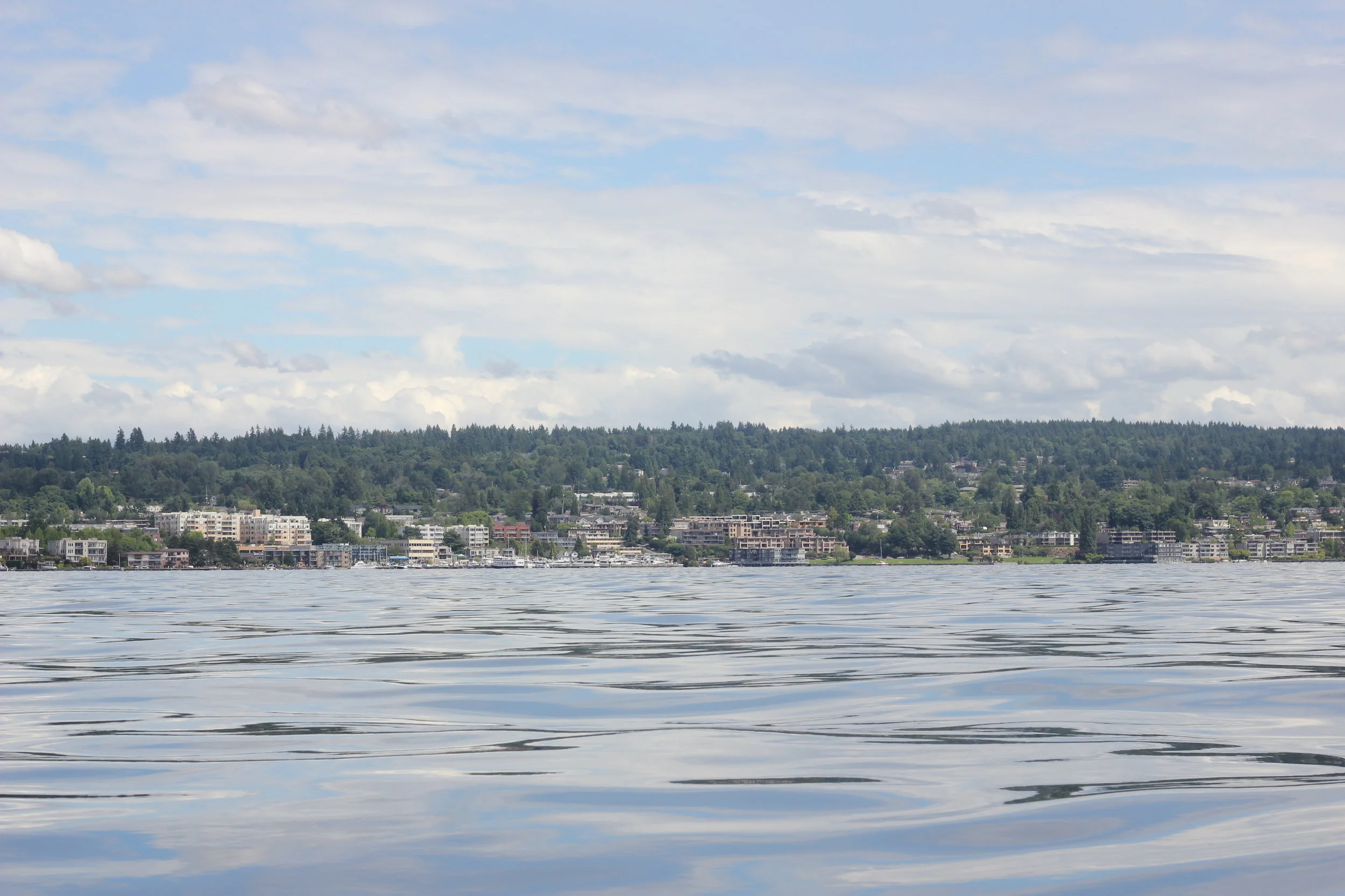 lake union