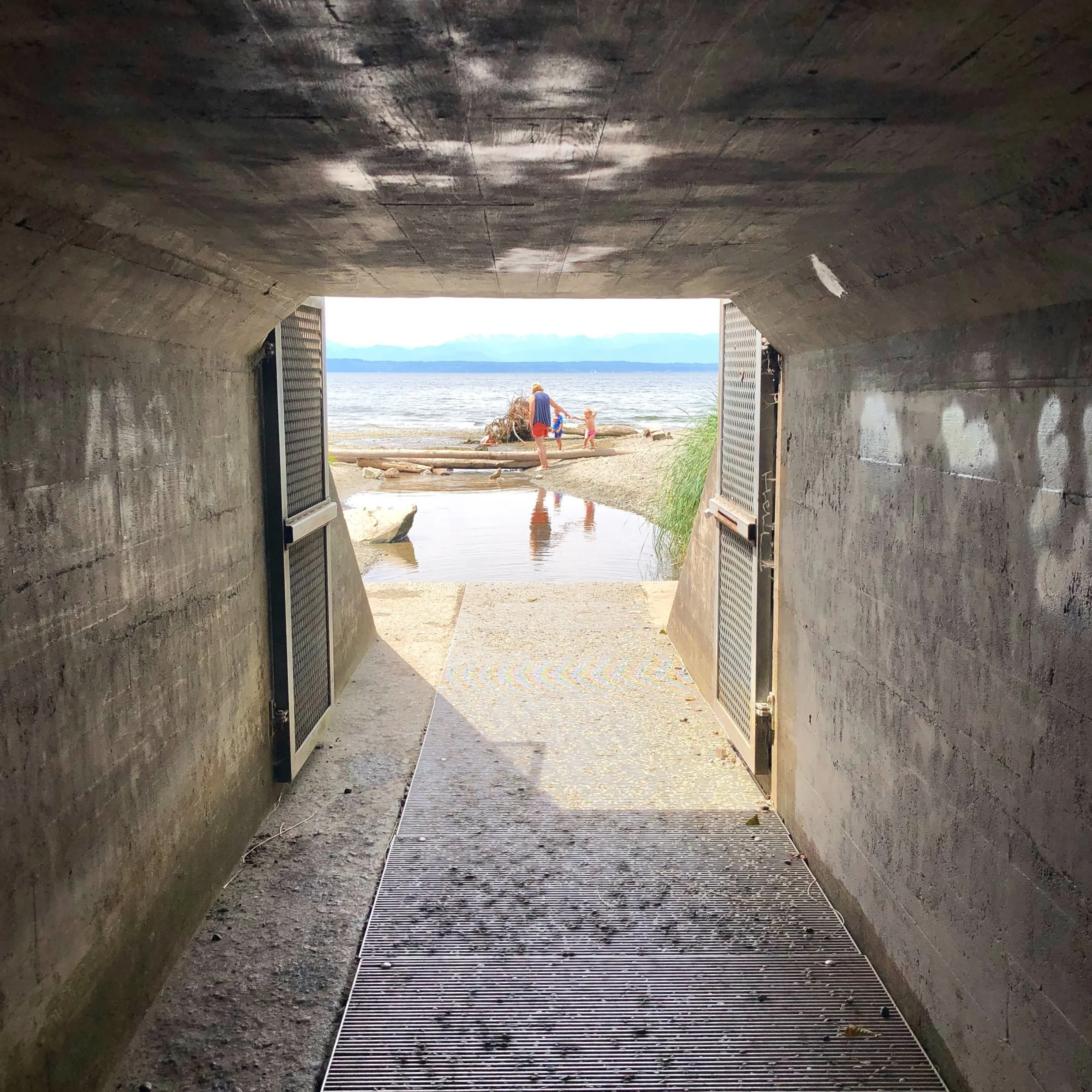 Walk through a low tunnel to get to the final reward - Puget Sound and all the beauty that comes with it!