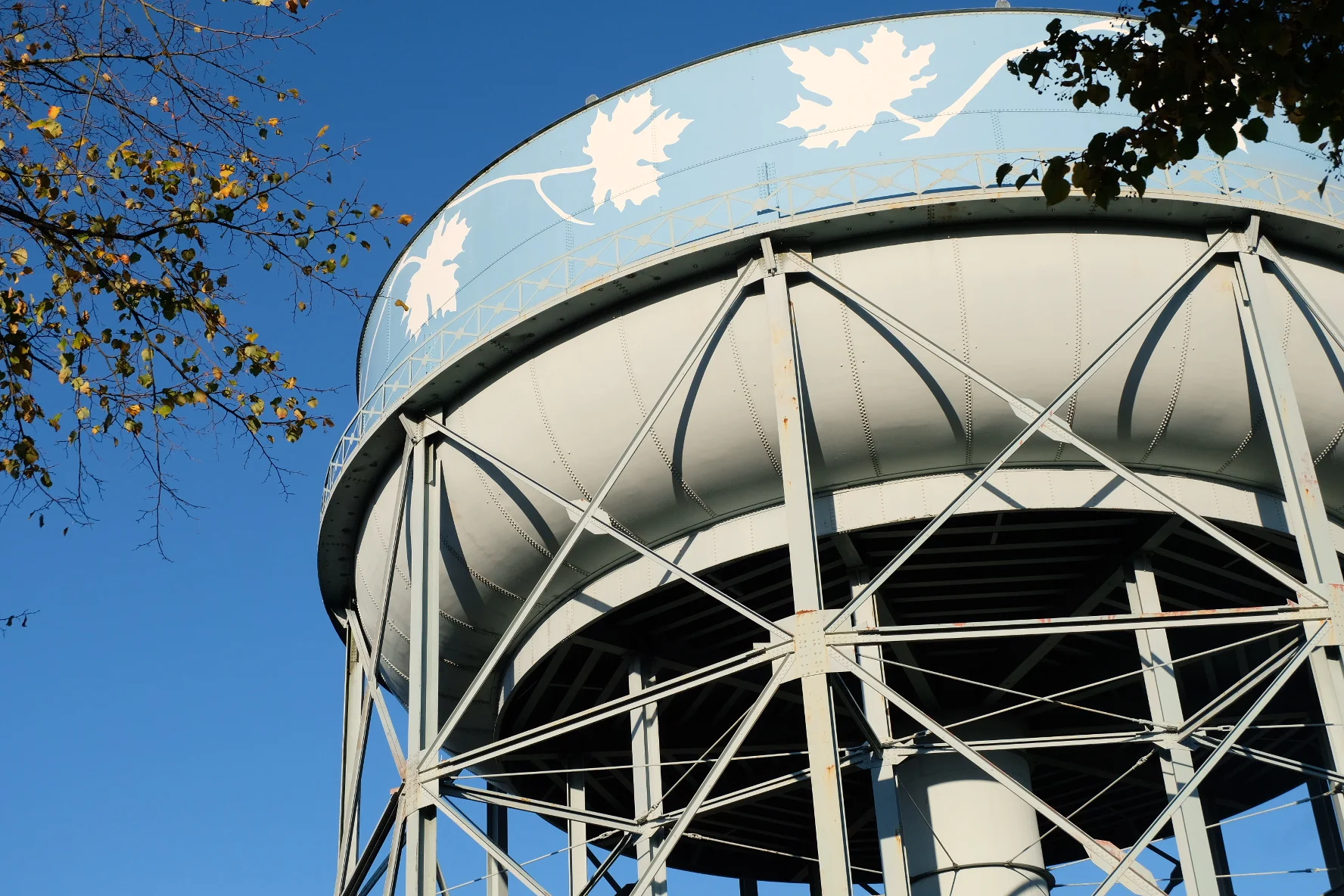 Maple Leaf Water Tower