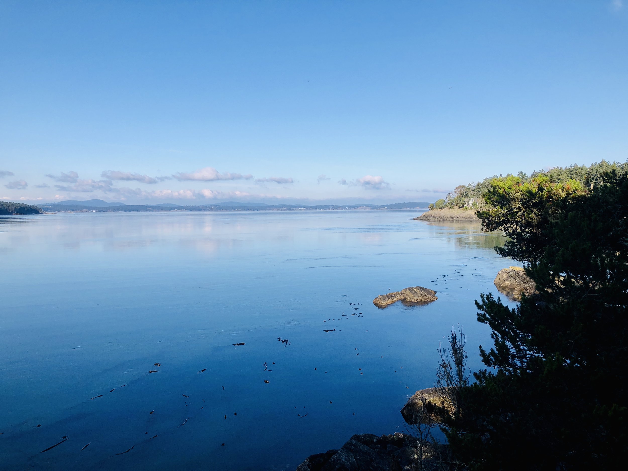 Vista at Shark Reef Sanctuary