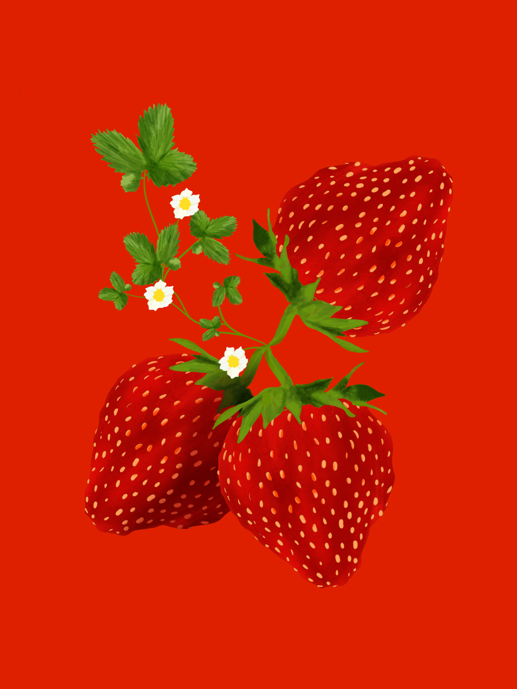 Untitled_Artwork 4.png