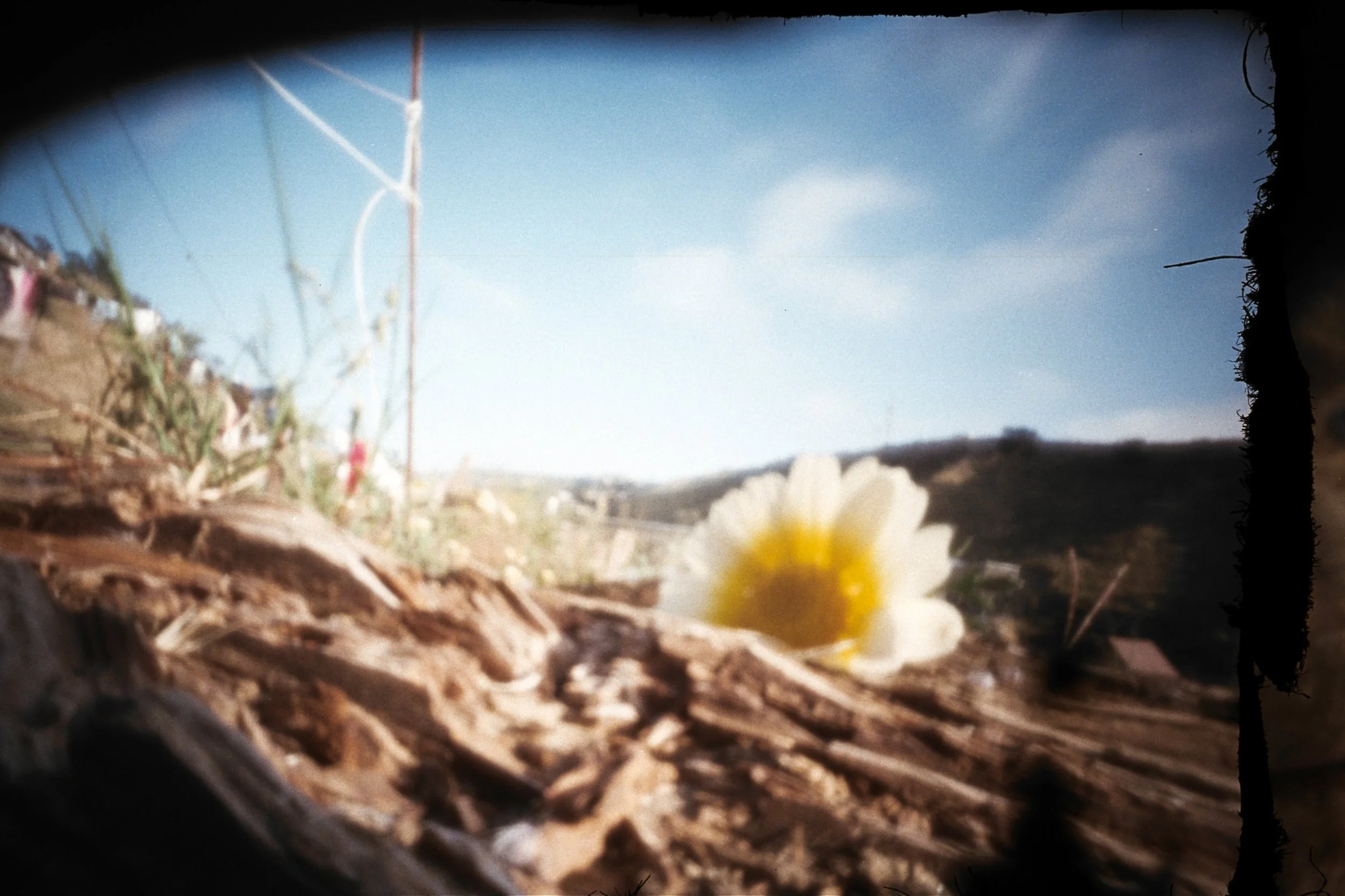 AAA037.jpg