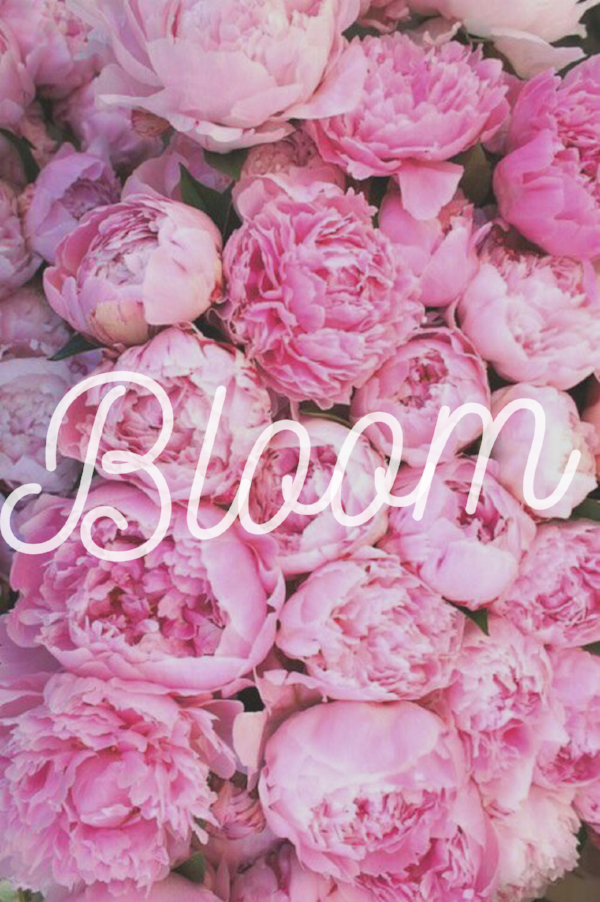 bloom.png