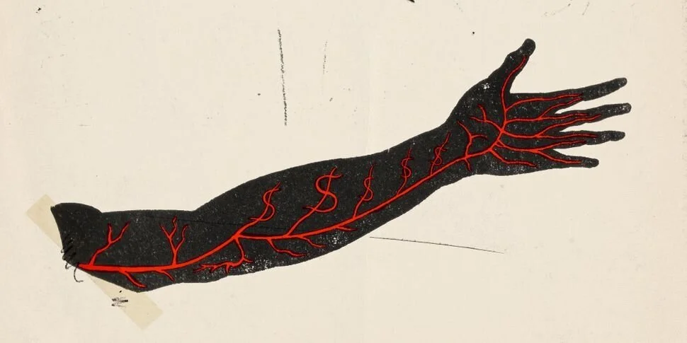  “ He Hawks Young Blood As A Miracle Treatment. All That’s Missing Is Proof ,” by Jesselyn Cook and Dana Liebelson. HuffPost, 2018. 