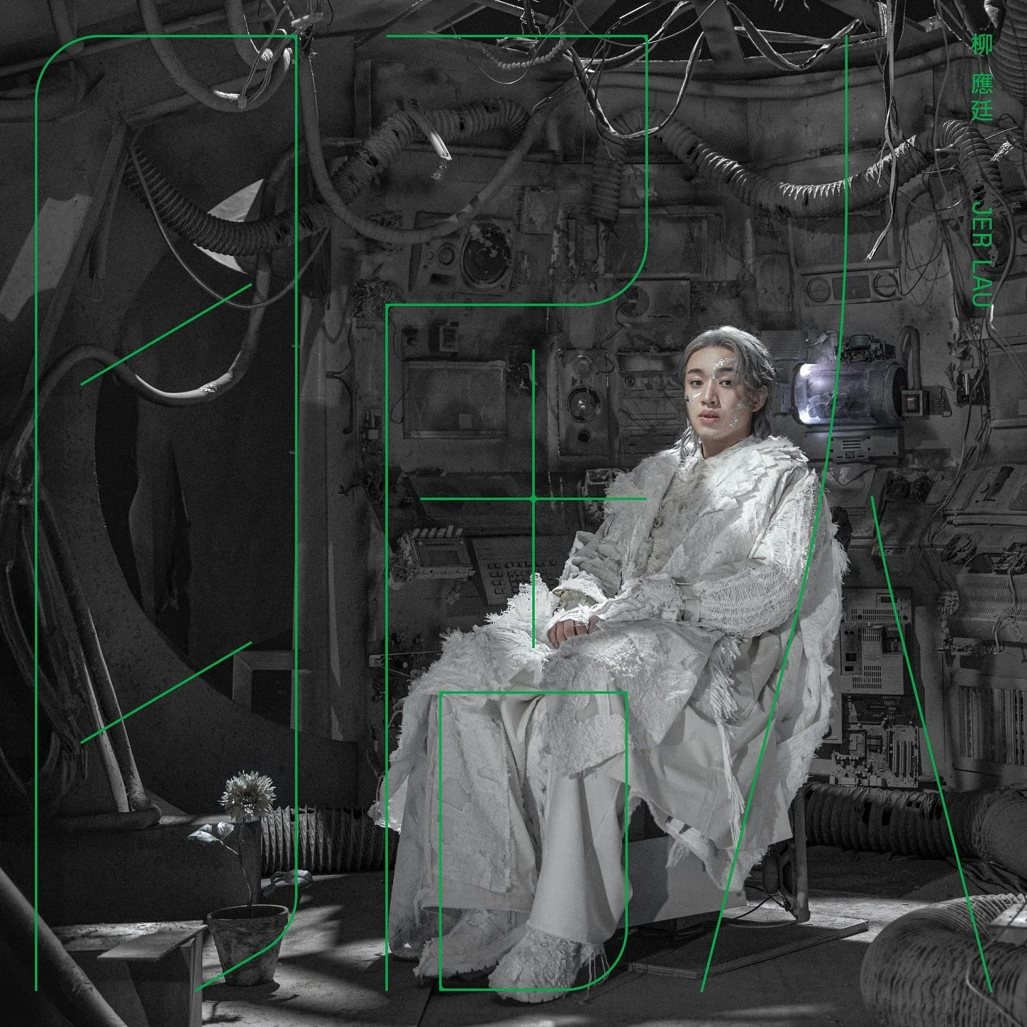 [image] - 4234845.jpeg