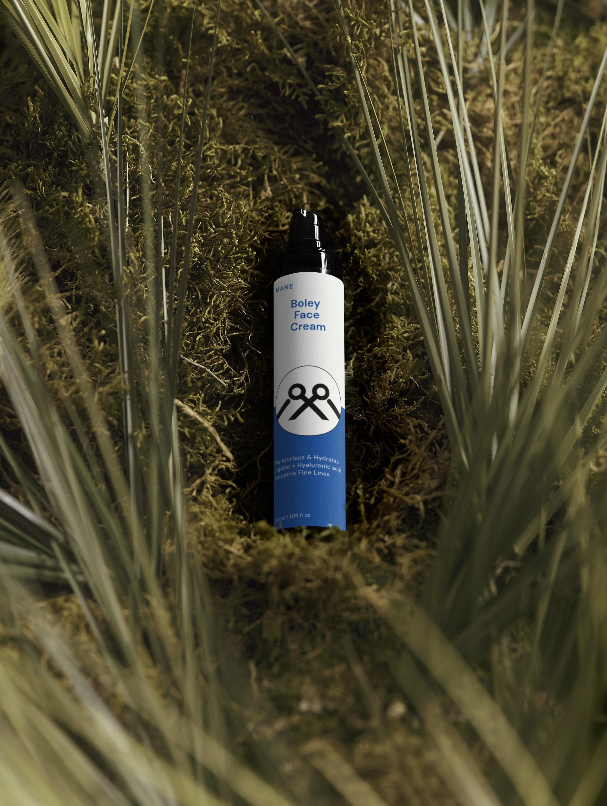 MEADOW WHISPERS.jpeg