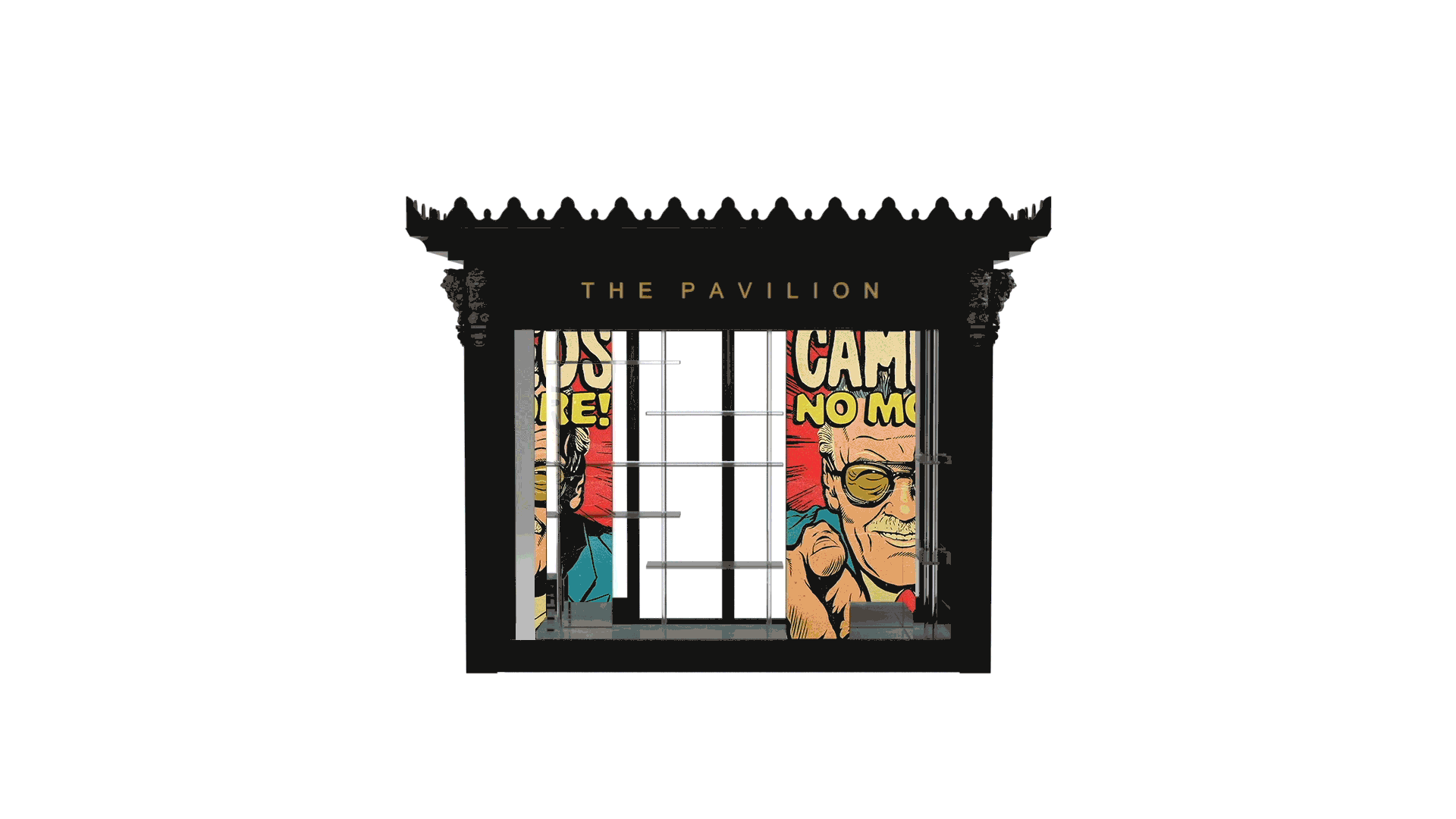 WINDOW & ROOF OPTIONS