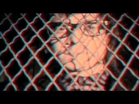 MUSIC VIDEO - People in Planes "Flesh and Blood" Official Video