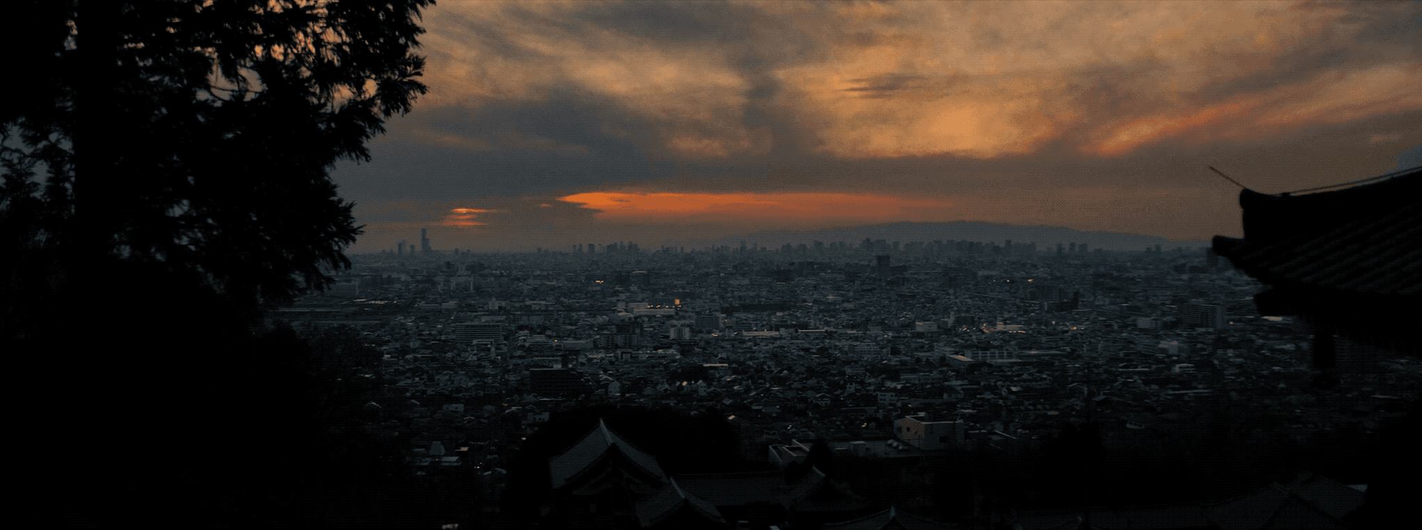 HWF_240119_FC06.2024-01-30 17_13_50.gif