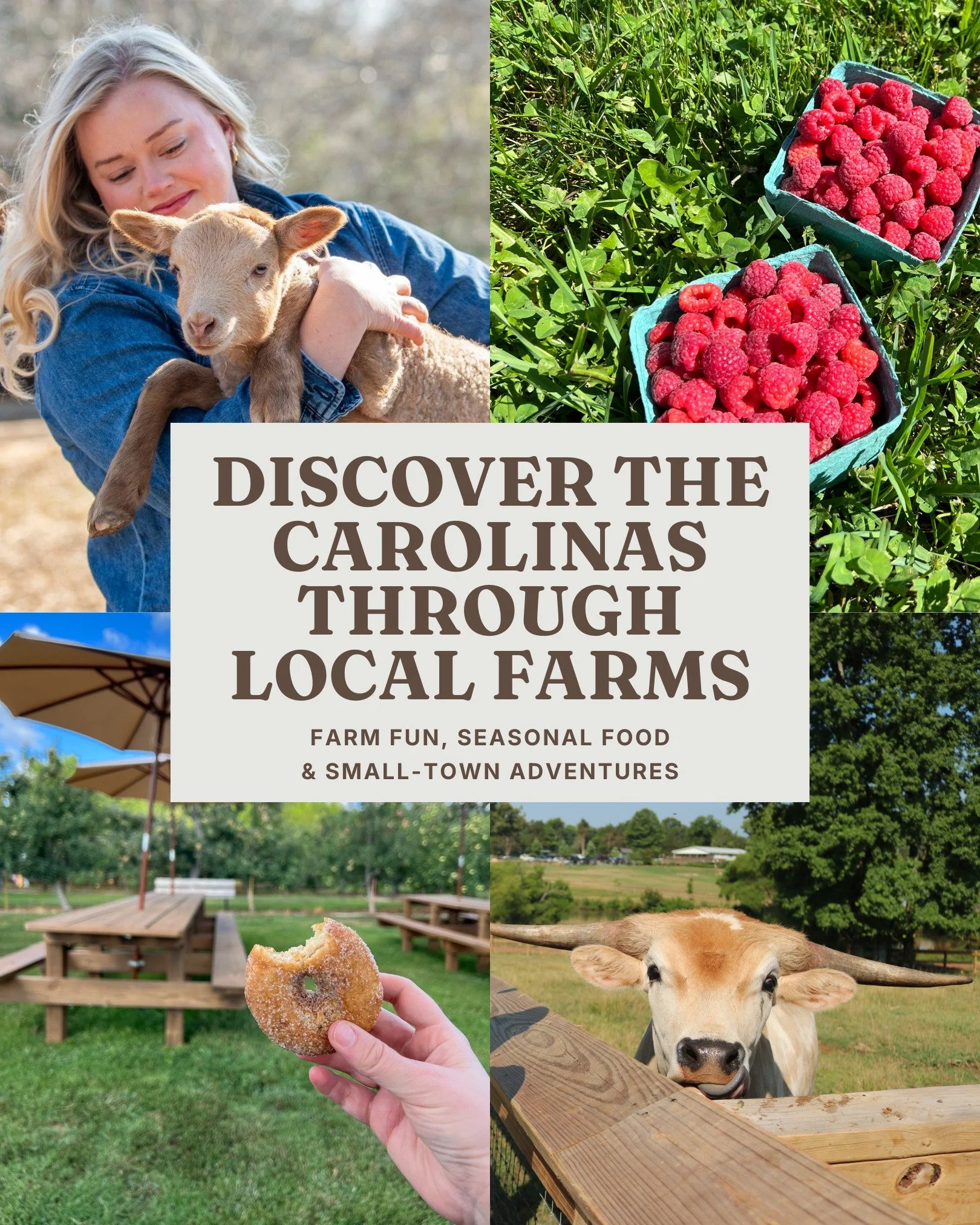 POV: your weekends start looking a lot better when you discover local farms 👀🌱

Think flower fields, peach ice cream, farm dinners, baby lambs, berry picking, and the kind of places that make you want to stay a little longer.

The Farmer&rsquo;s Fe