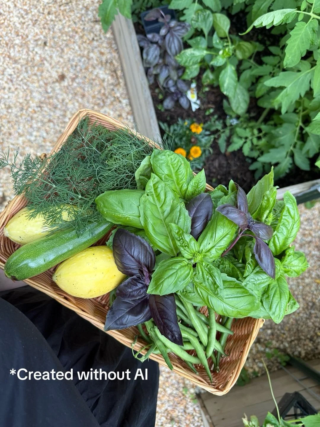 Some of my favorite snaps from this week>>> my garden and our local farms 🫶  no AI needed!!