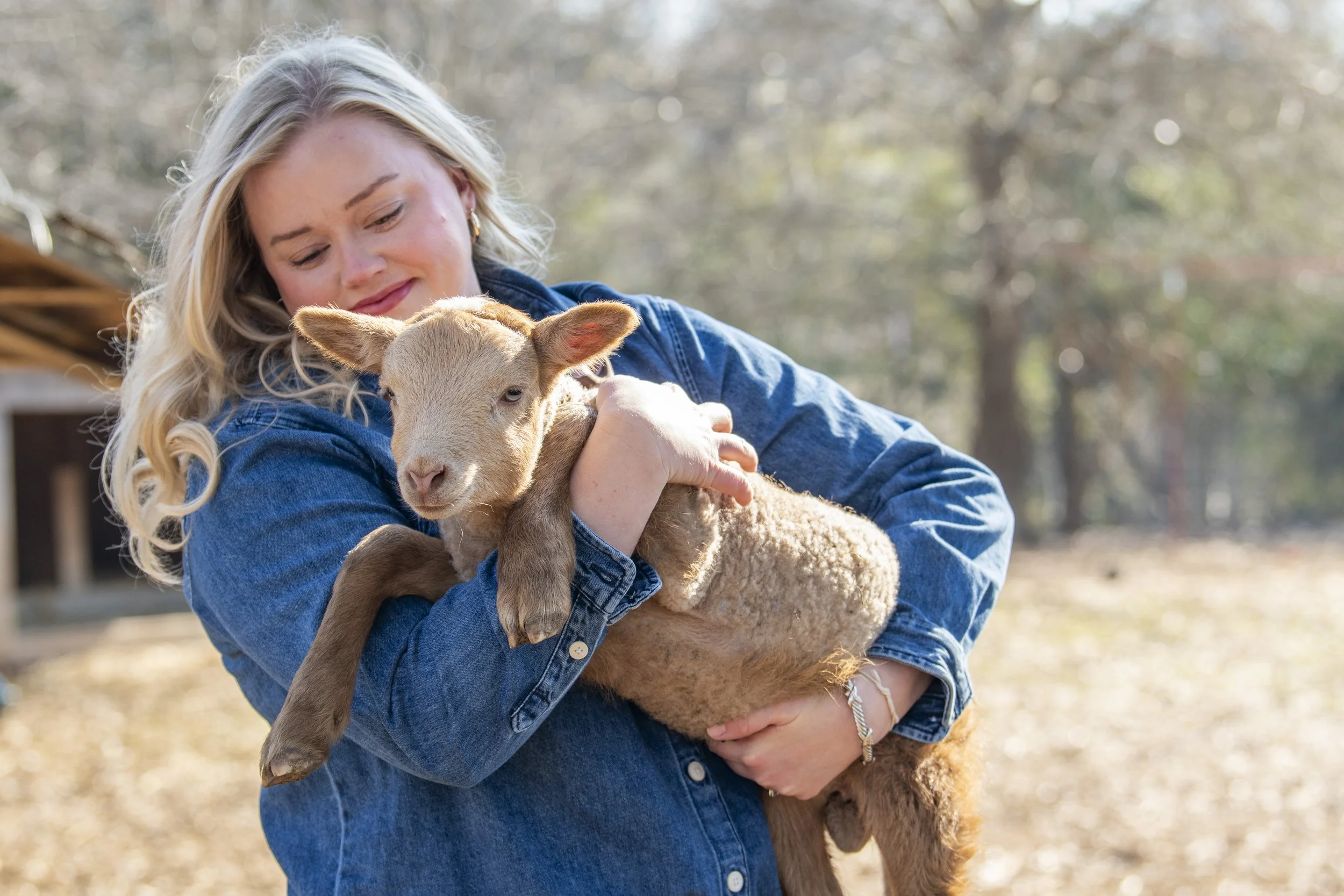 Caroline-Lewis-The-Farmers-Feed-Holds-Lamb-Farm