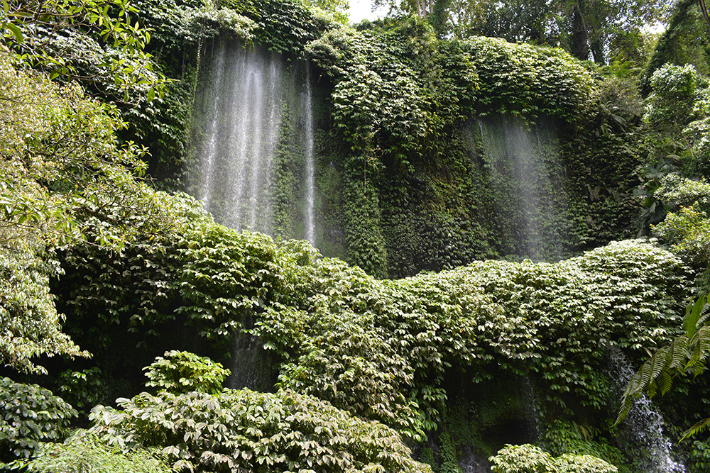 blog_1_040.JPG