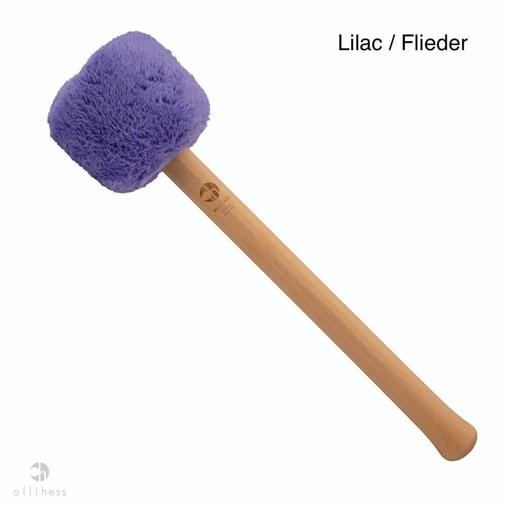 Profi Gong Schlegel Olli Hess