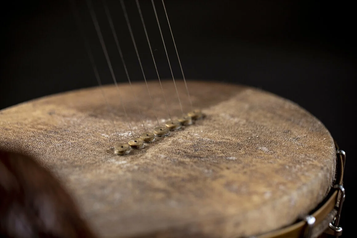 Sekar created a hook-and-bracket system to make the tone of a yazh easier to modify, he says. Photo: Naveen Sekar.