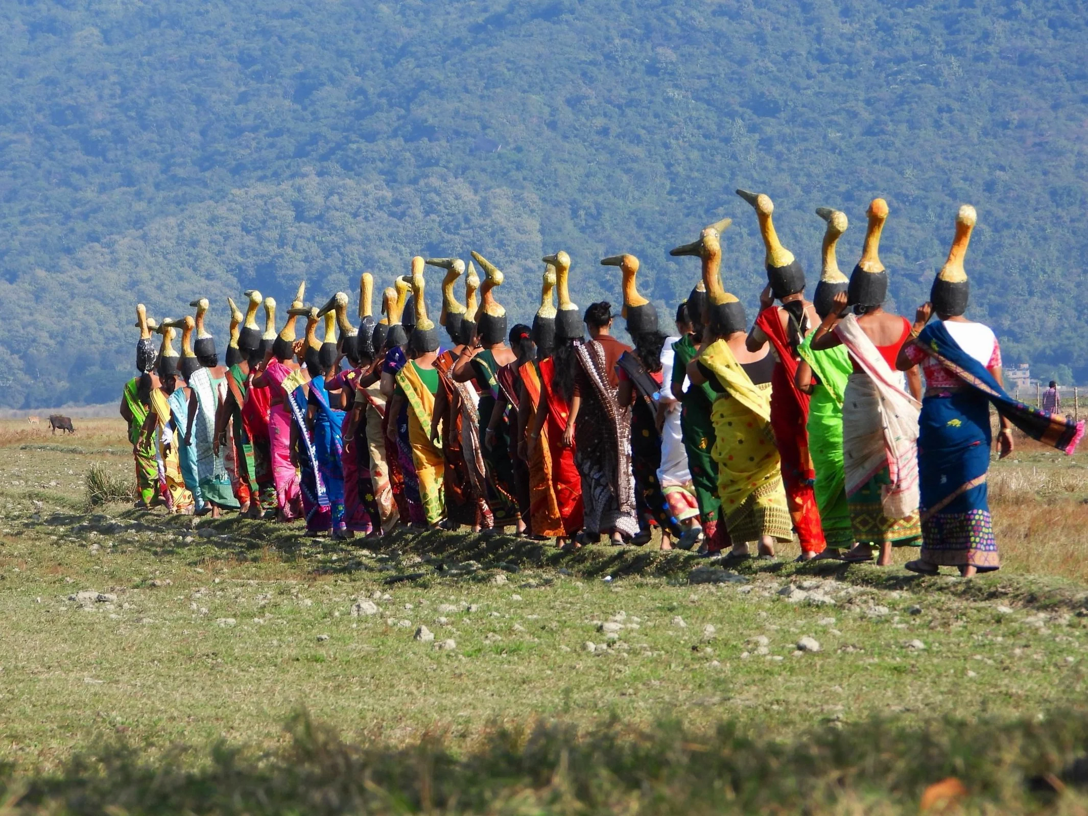 Meet the eco-feminist army saving giant storks in Assam