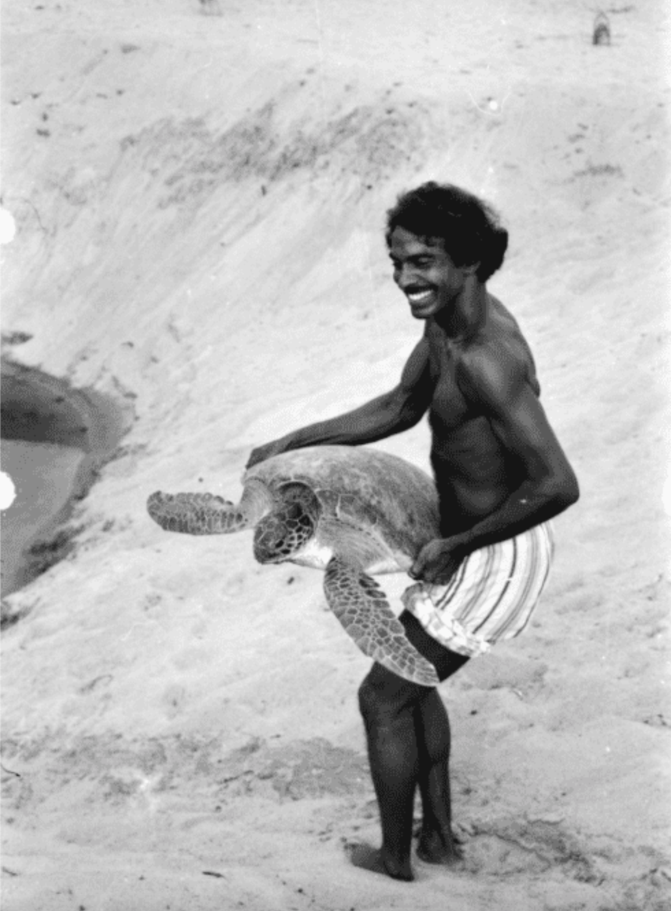 The man who saved India’s sea turtles from extinction is the subject of a new documentary