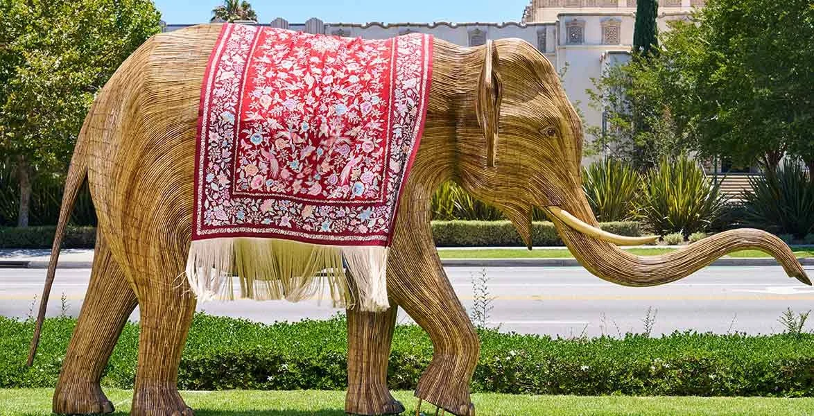 Wrapped in History: It is a Blanket Statement? Ask the Elephants