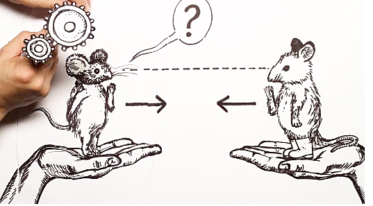 Check out Micheal Camilleri's illustrations-&nbsp;   How to Get to Know Someone     &nbsp;from 'The Practical Guide...'&nbsp;