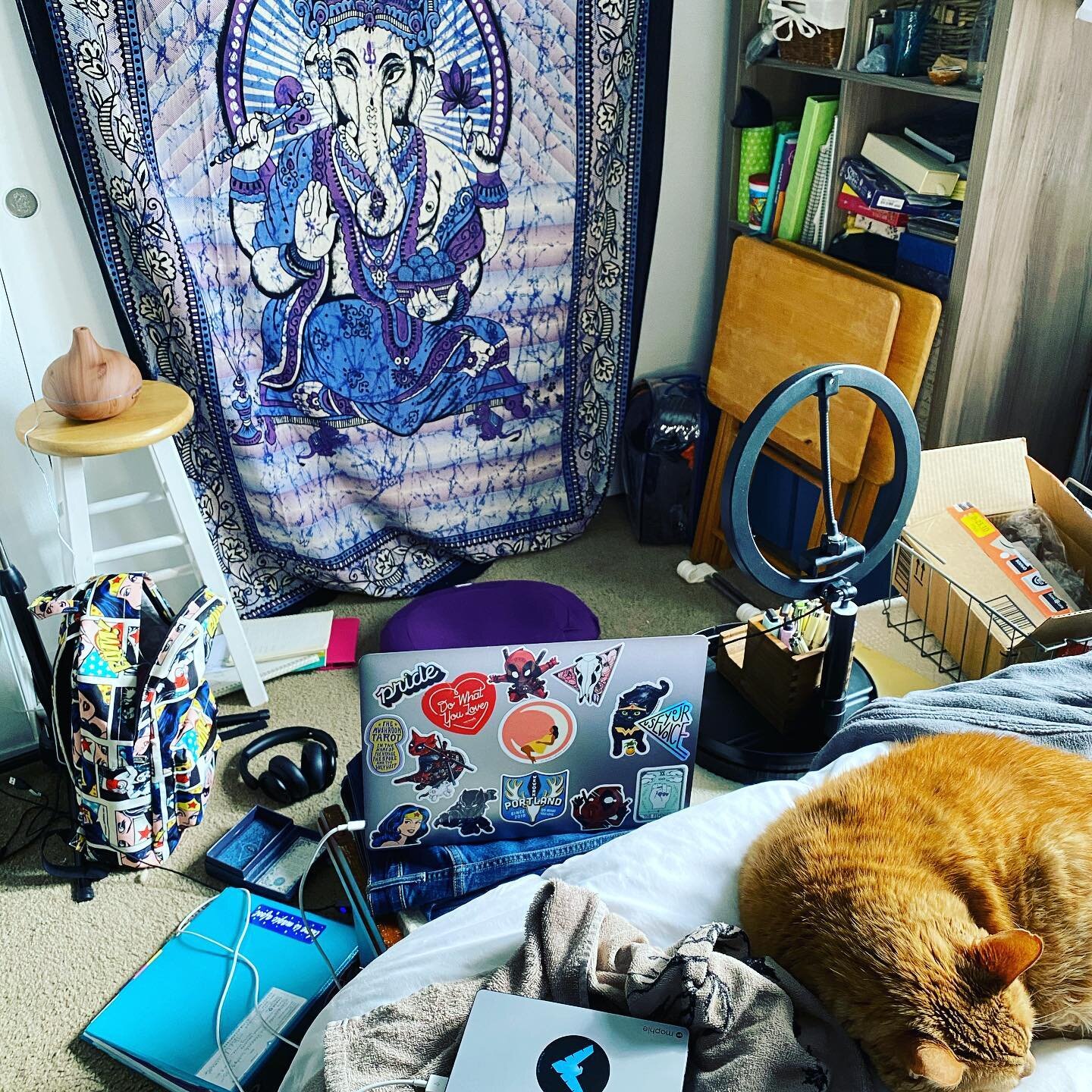 Feeling my vibe and getting back into the swing of things. I&rsquo;m loving how I fanagled my setup today, it&rsquo;s actually working quite beautifully. 
.
What are you up to today?
.
.
.
.
.
#behindthescenes #ganesha #witch #thepeacockwitch #tarot 