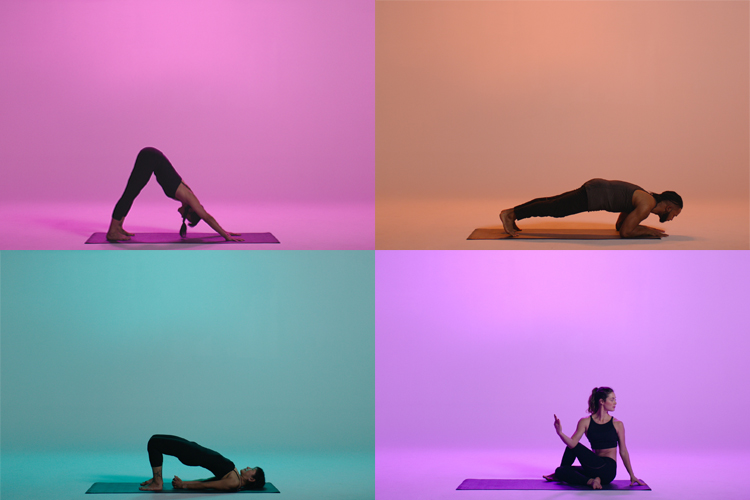 Yoga for Everyone w/ Erin