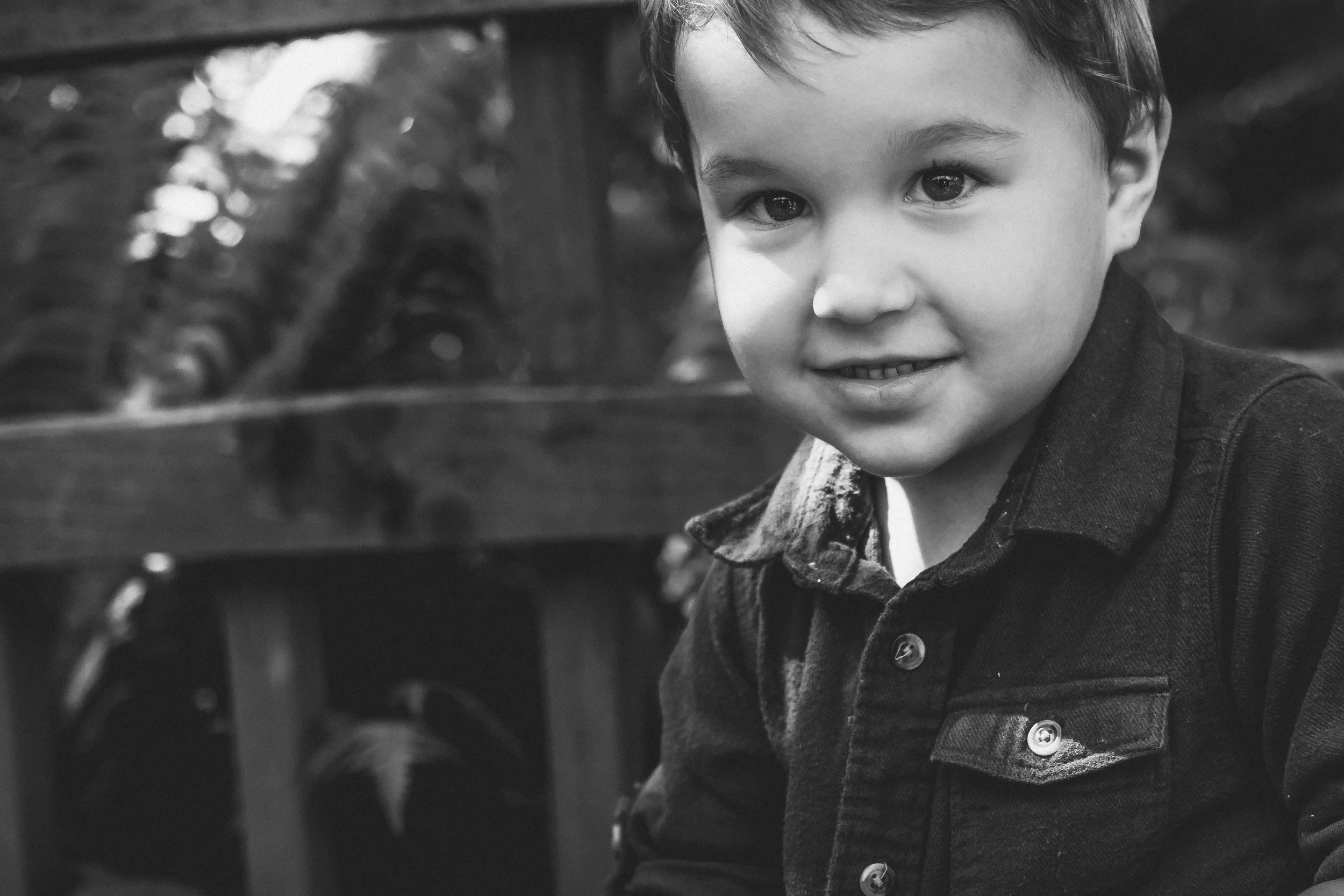 Wollf Boys 04.jpg