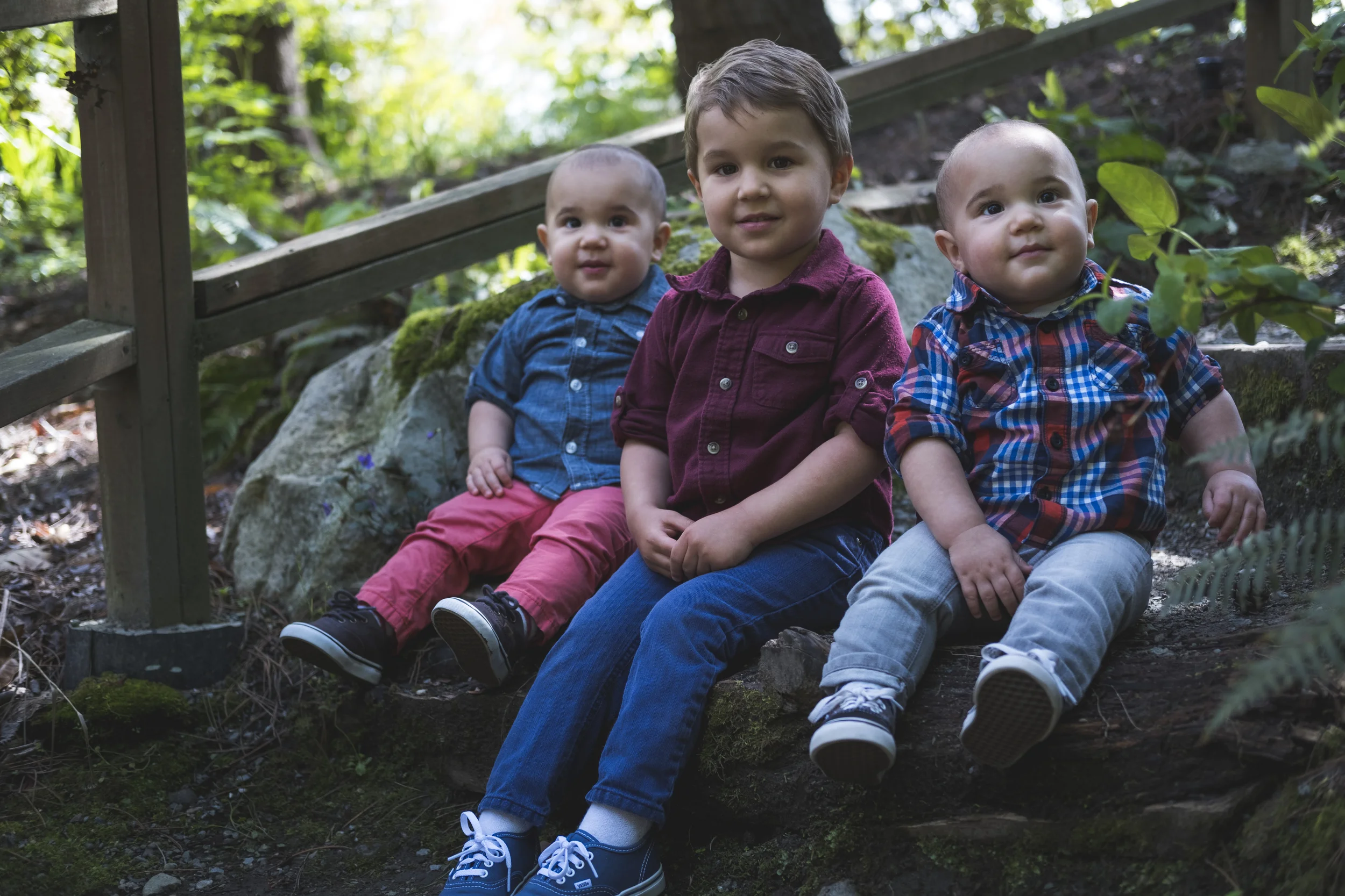 Wollf Boys 11.jpg
