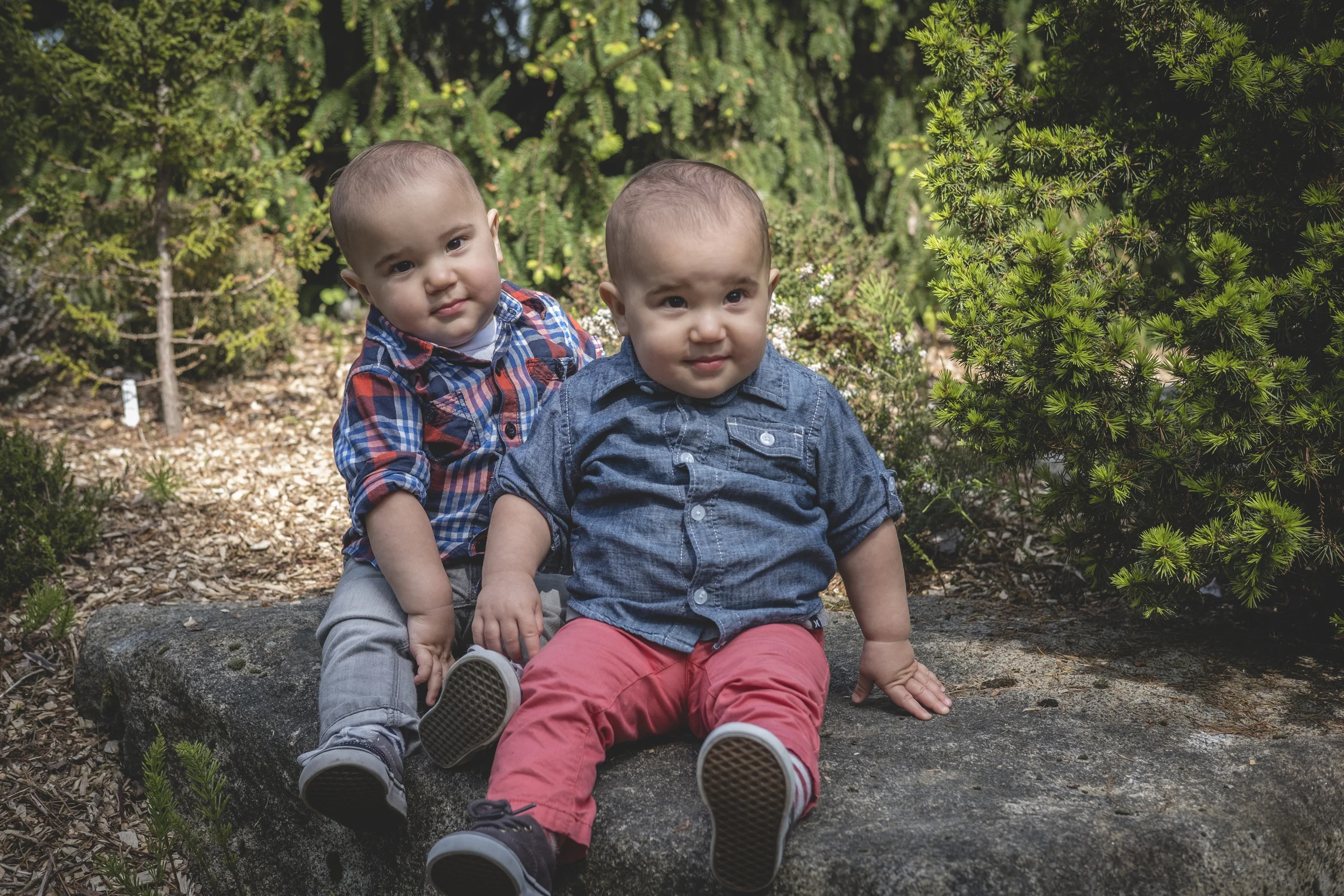 Wollf Boys 65.jpg