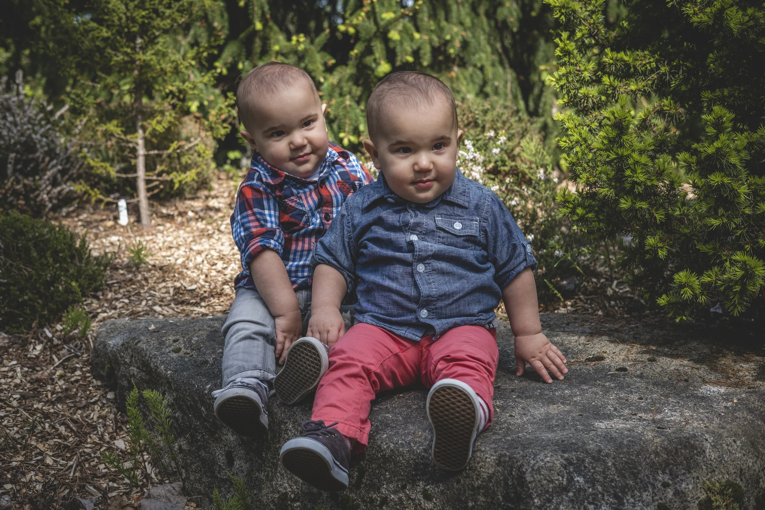 Wollf Boys 67.jpg