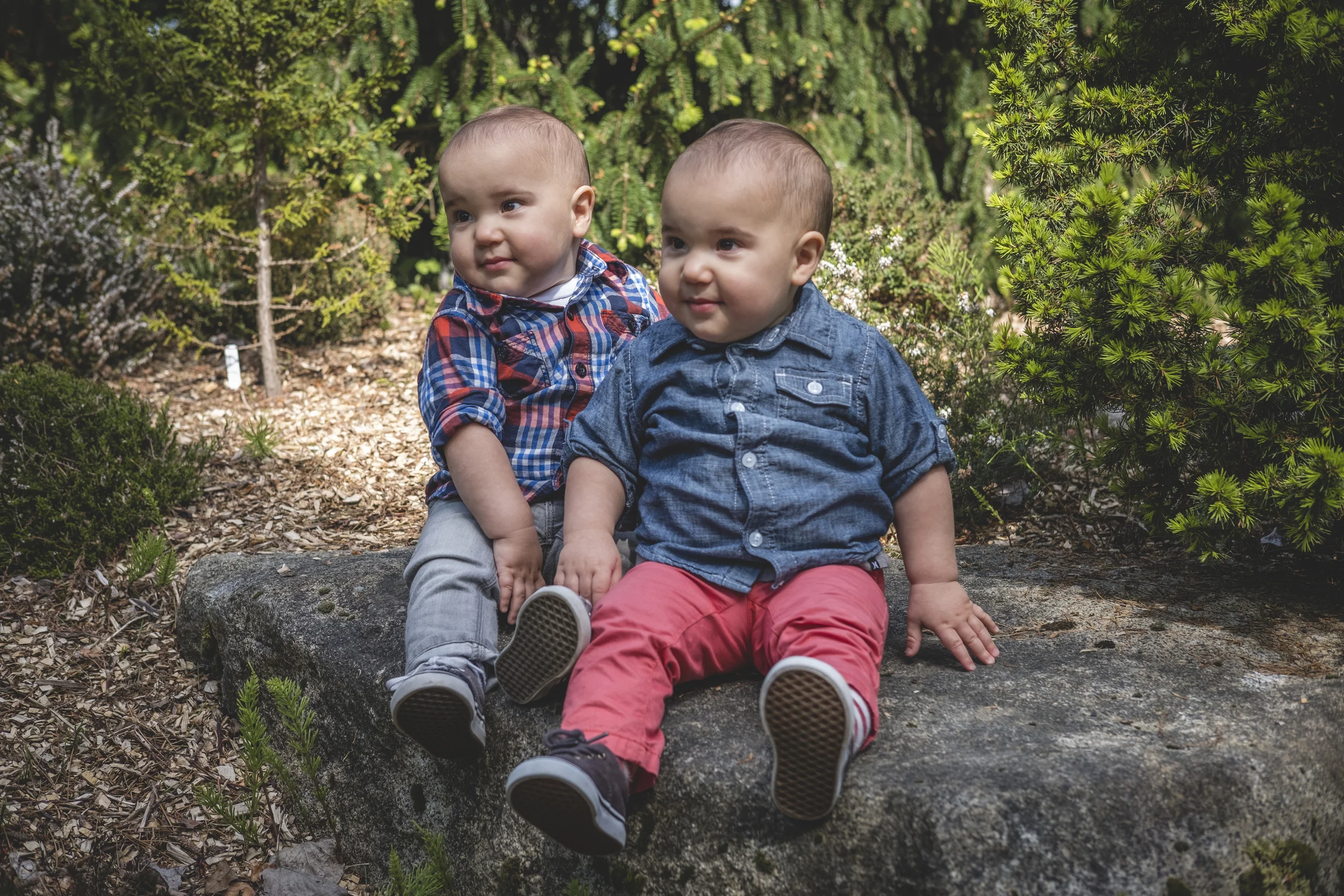 Wollf Boys 68.jpg