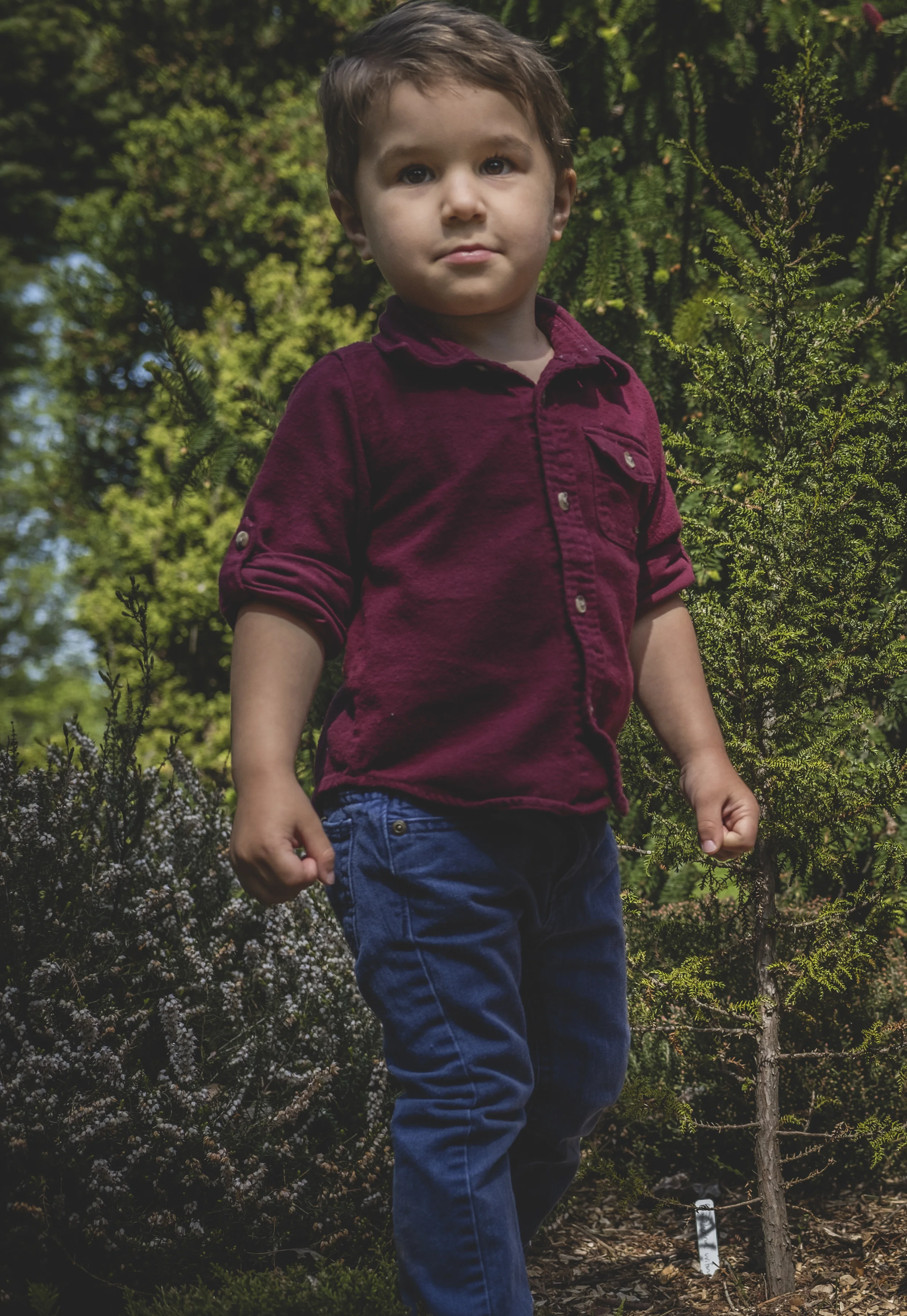 Wollf Boys 70.jpg