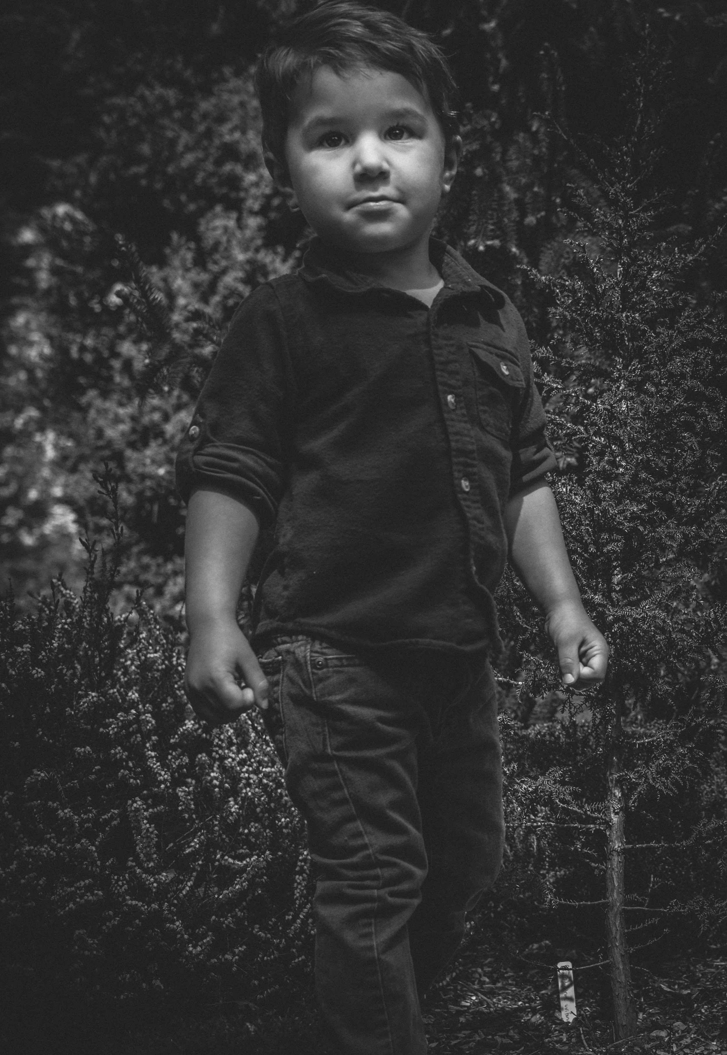 Wollf Boys 71.jpg