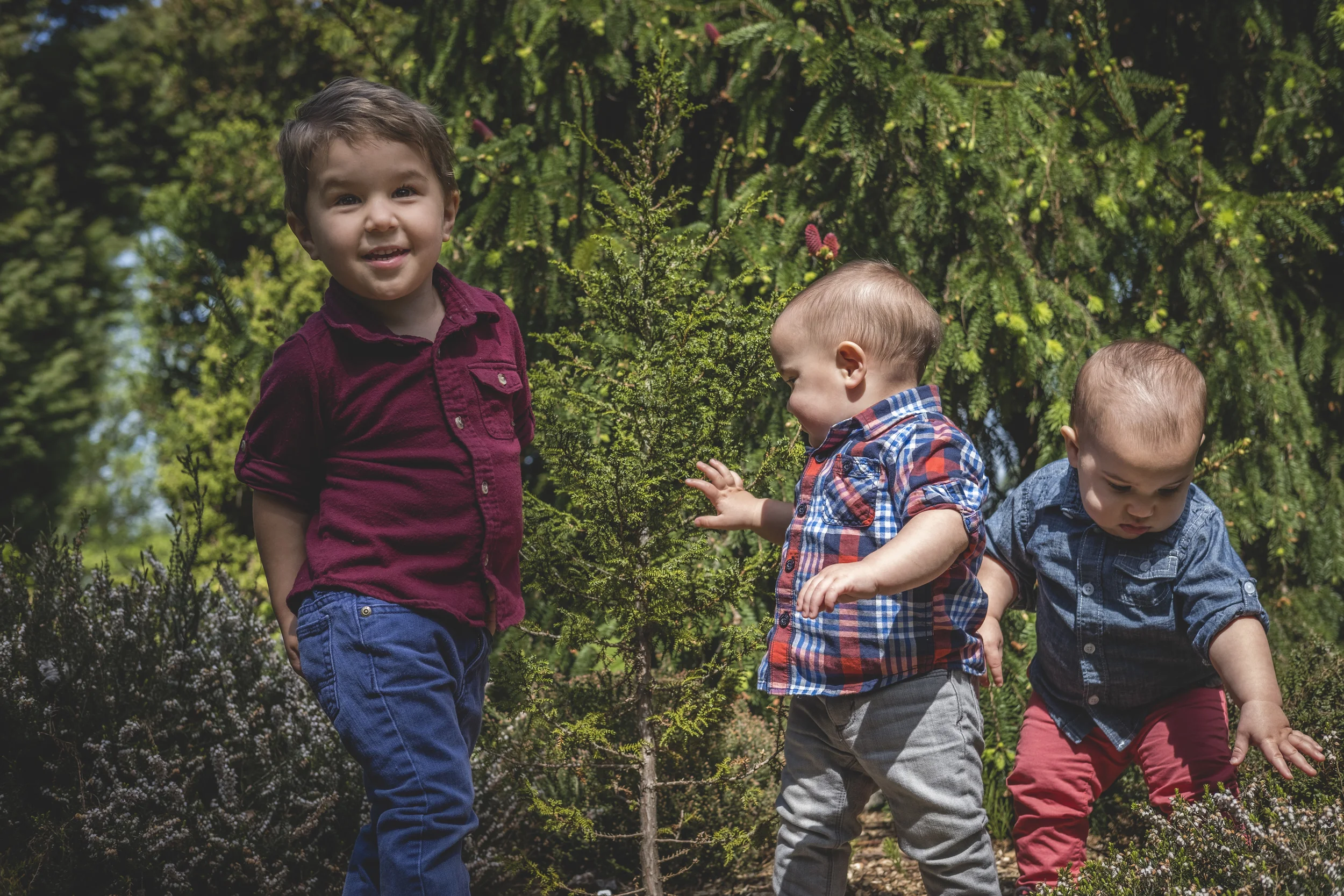Wollf Boys 72.jpg